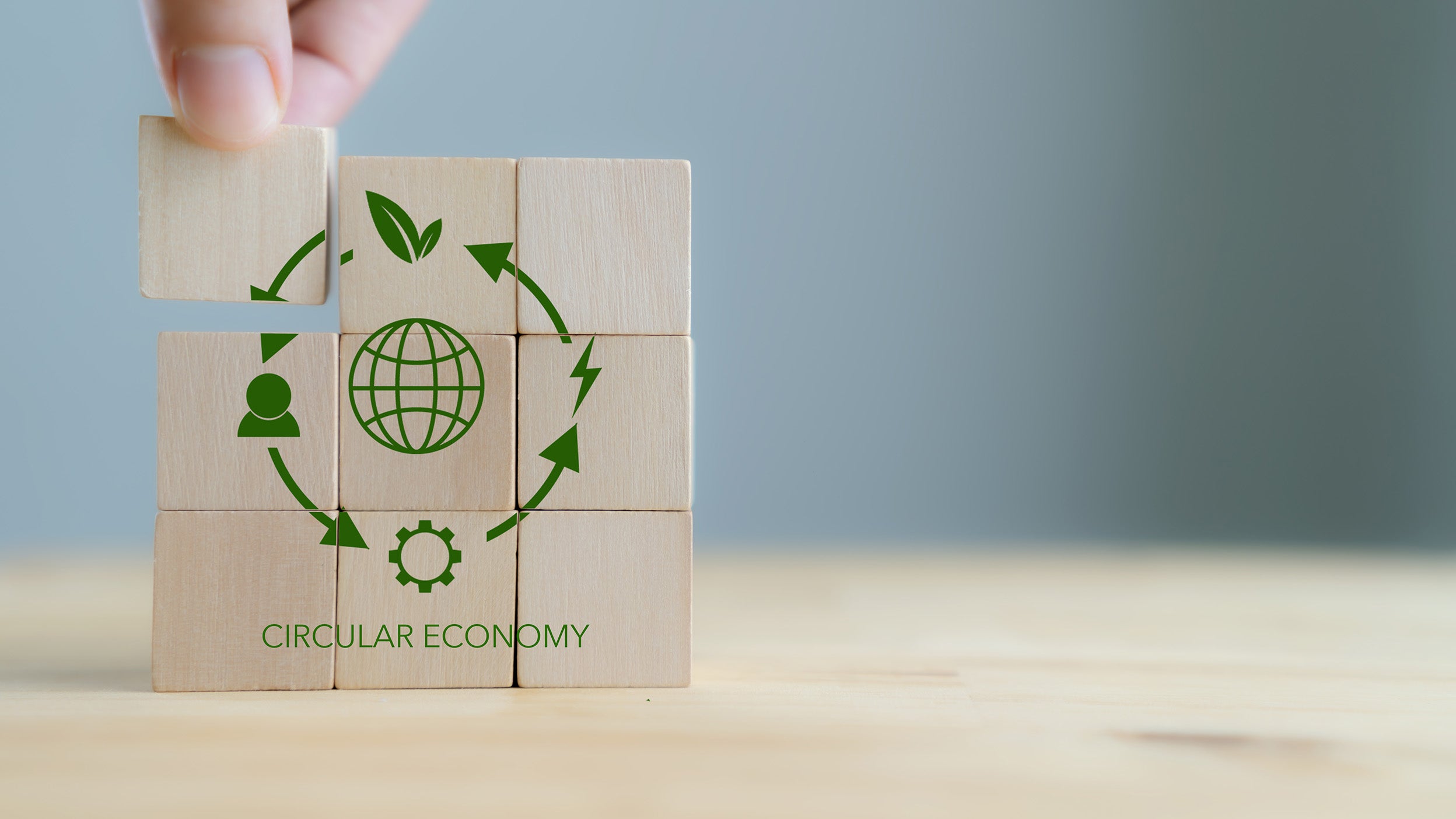 Circular economy: unearthing investment treasures in the trash