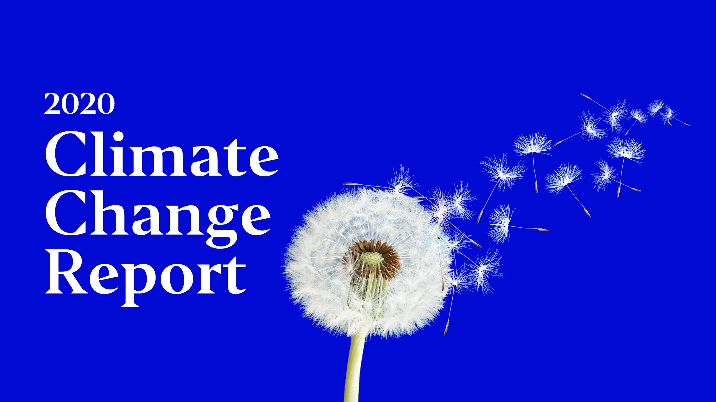 2020 Climate change report
