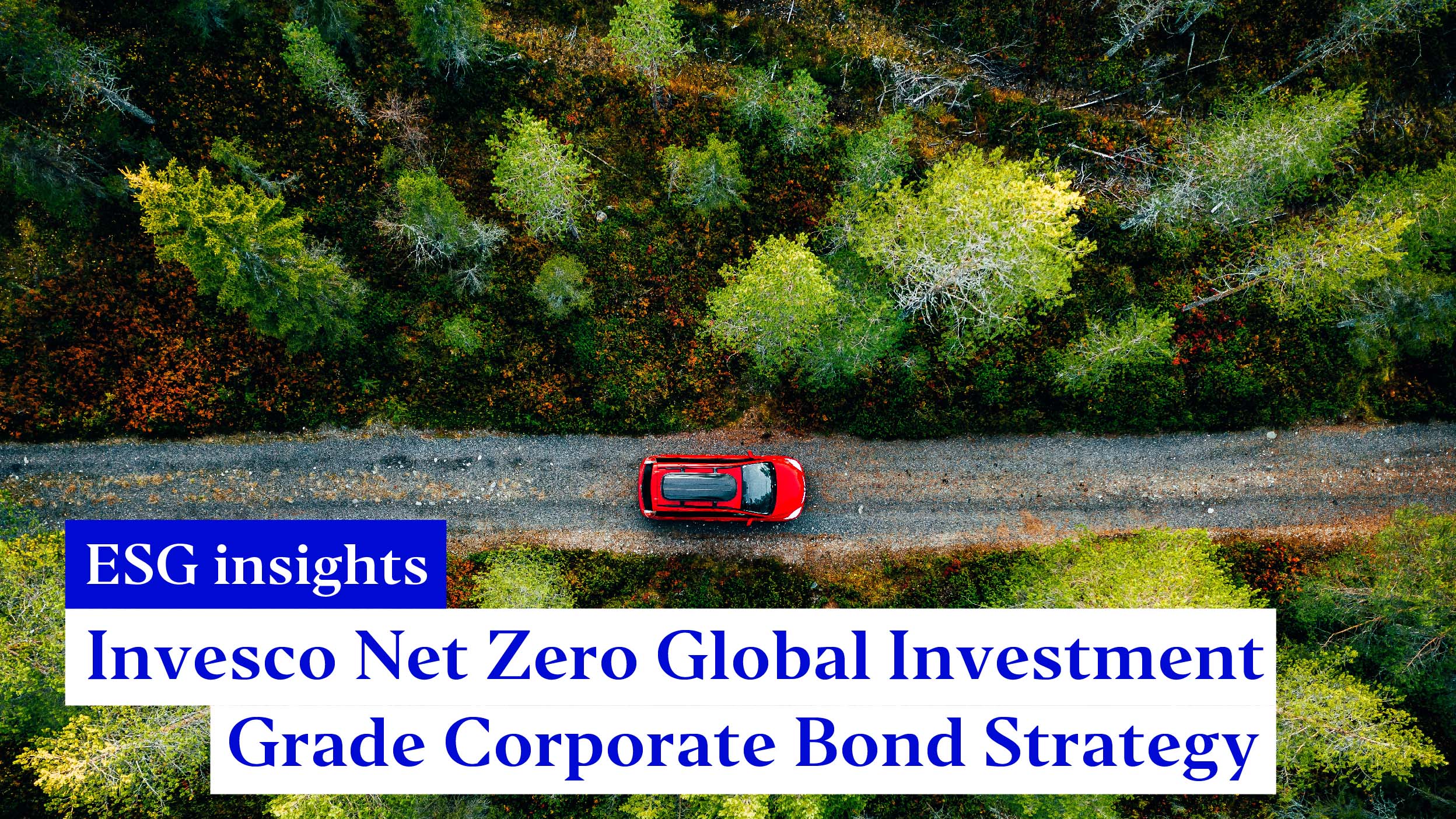 Supporting companies committed to the net zero journey