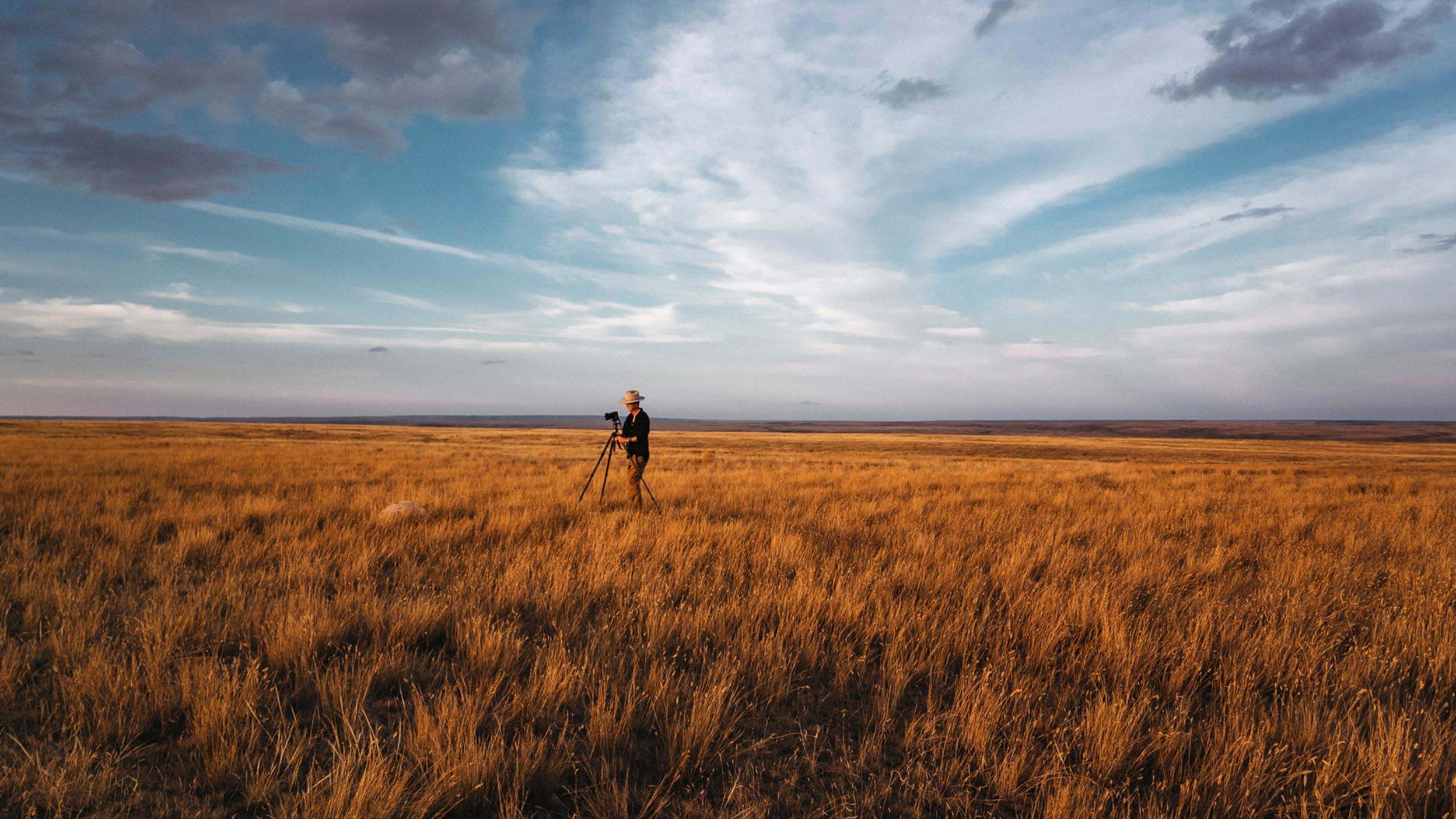 A photographer working alone in a grassy field at sunset contemplates his surroundings and the current state of the market.