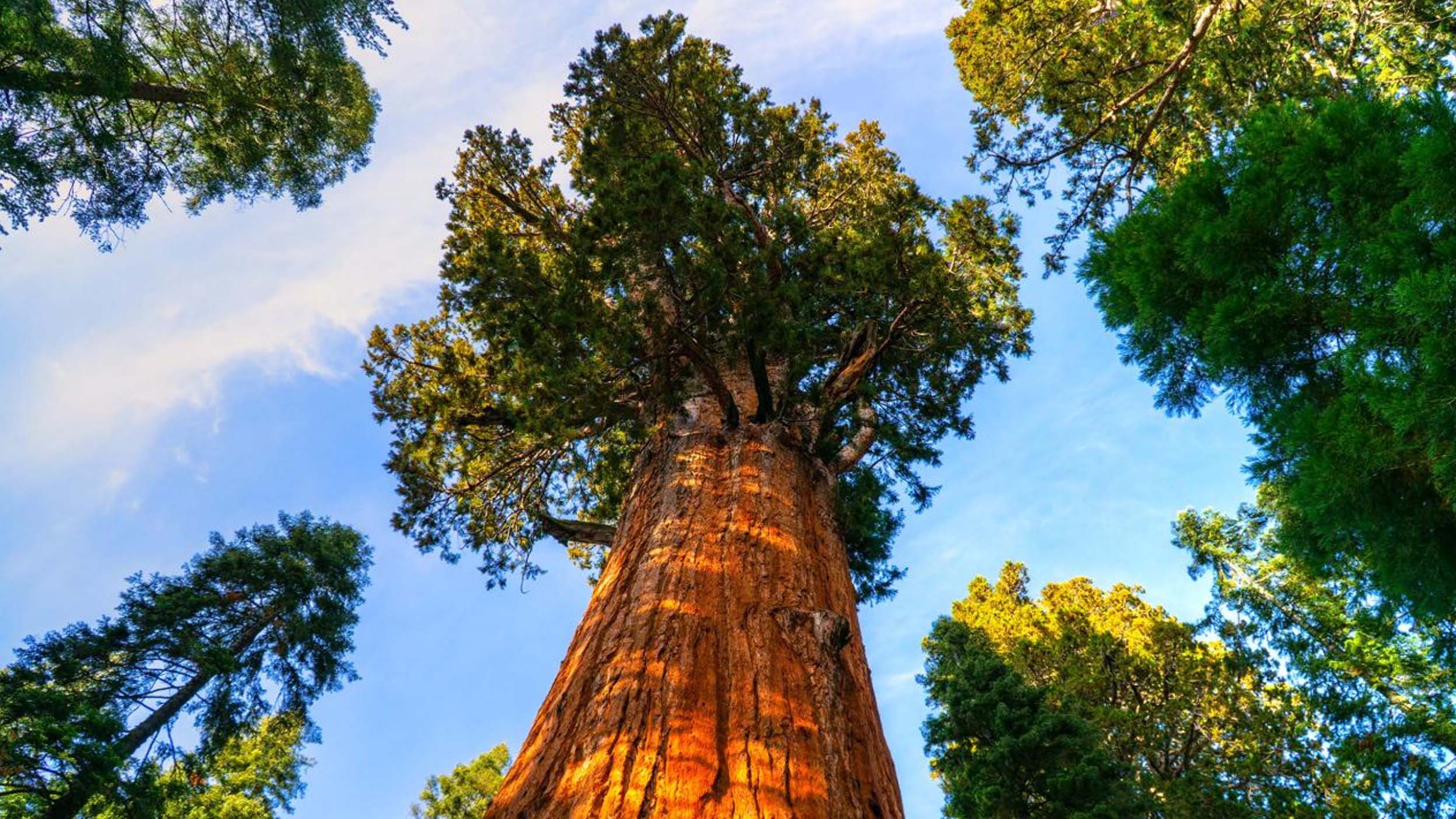 China to see significant growth in responsible and ESG-themed investment