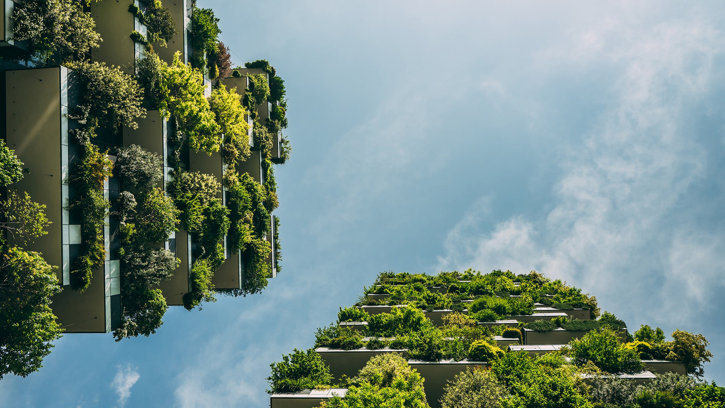 Previewing COP 27 climate summit and the potential investment implications
