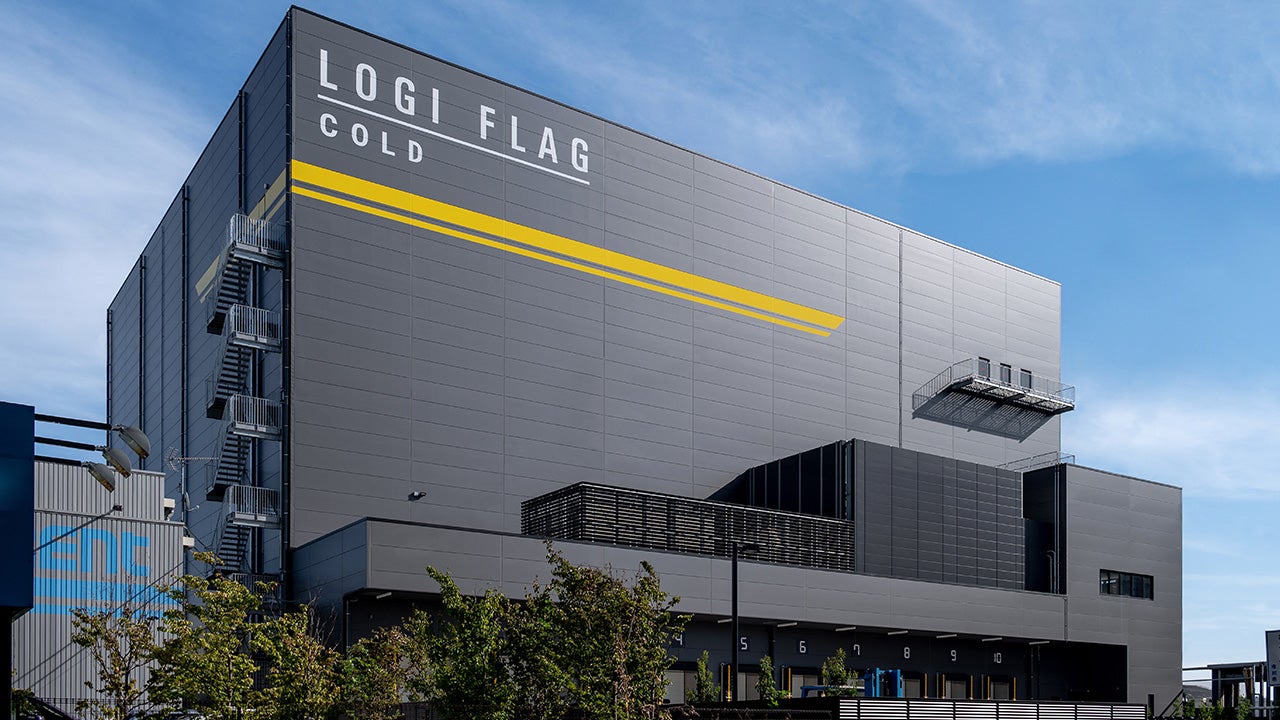 Figure 1 – Japan cold logistics property