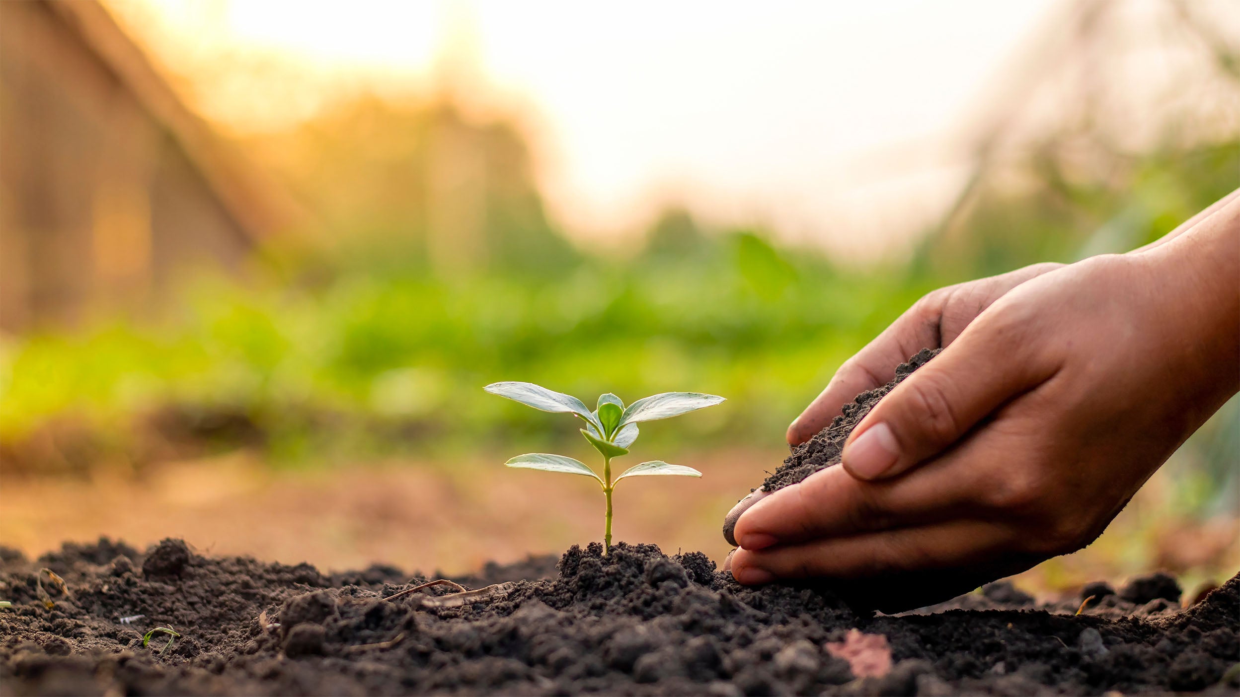 ESG & Impact: Impact investing in Asia