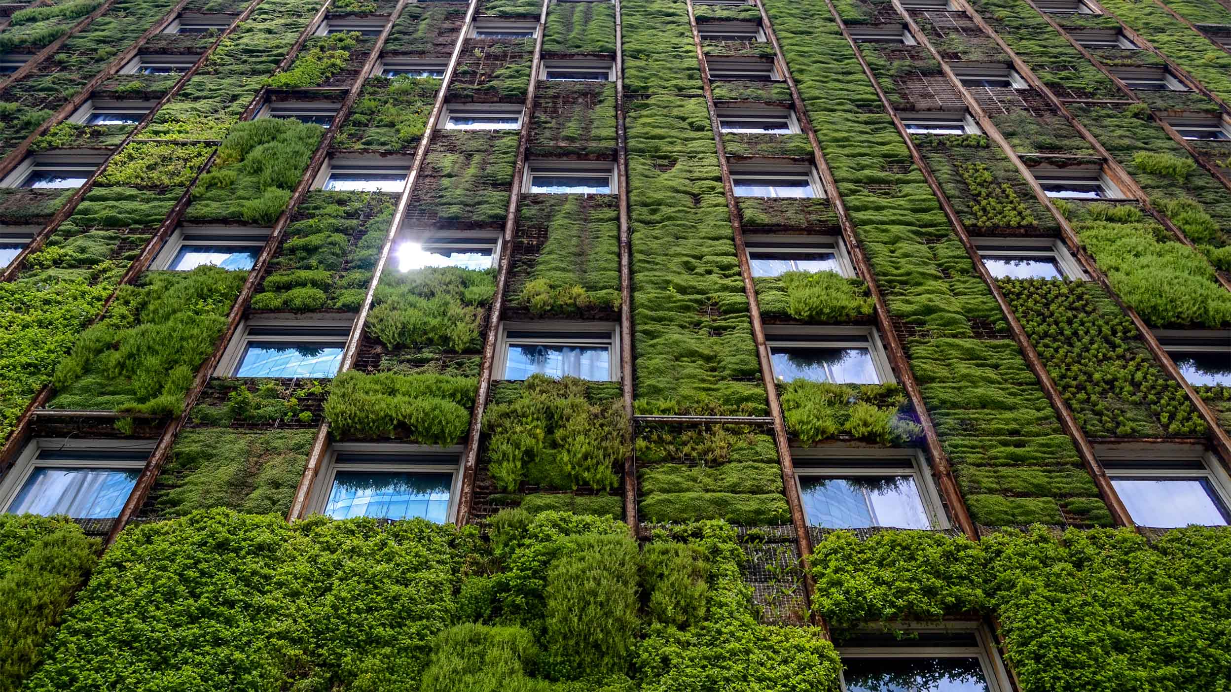 ESG & Impact: Investing for Climate Adaptation in Asia