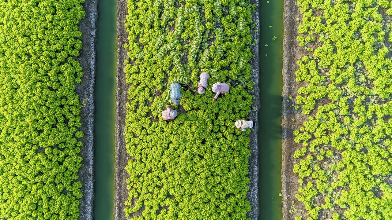 Climate investing: Transition opportunities from Europe to Asia 