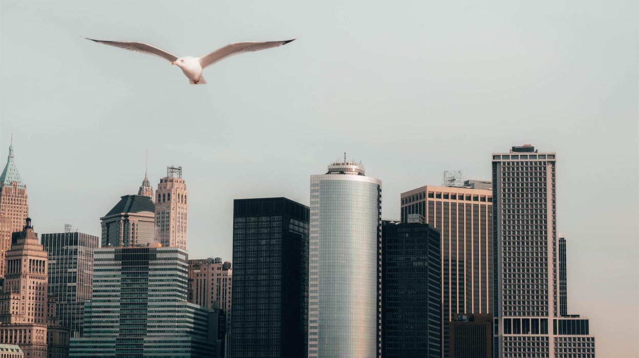 Insurance Insights Q4 2023: Investors look to fixed income and alternative assets