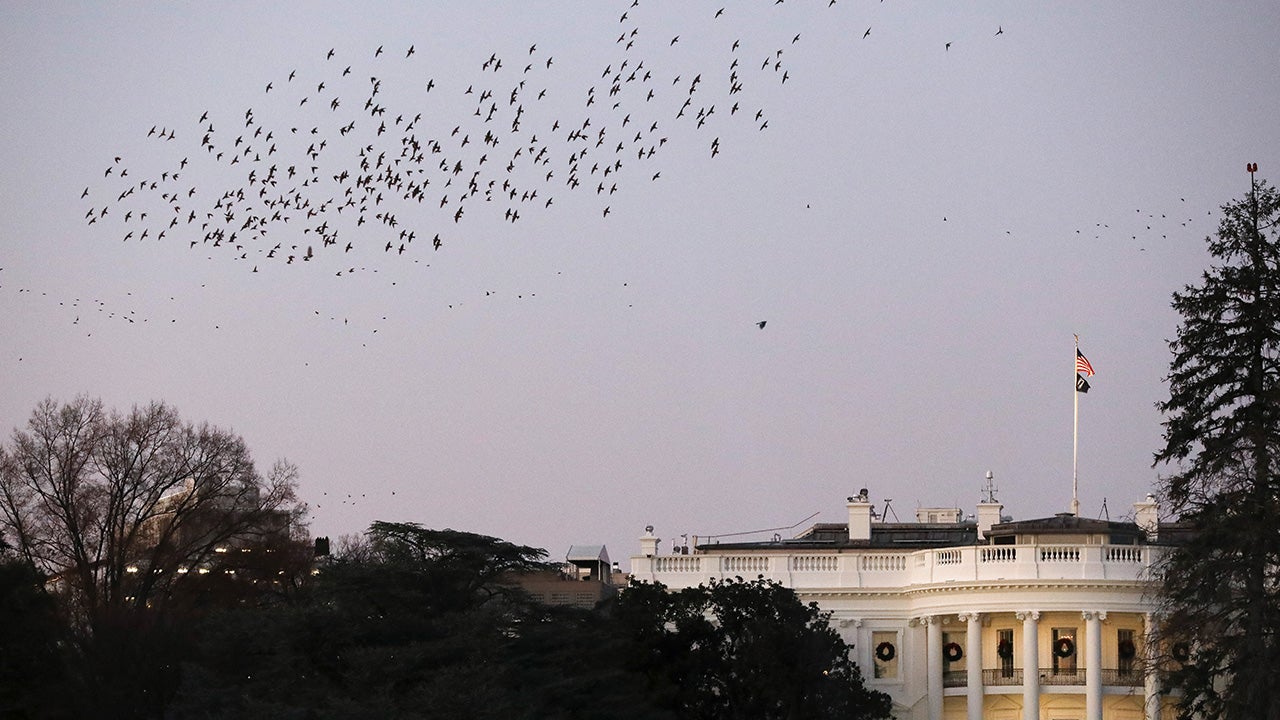 What Biden’s historic election decision means for markets