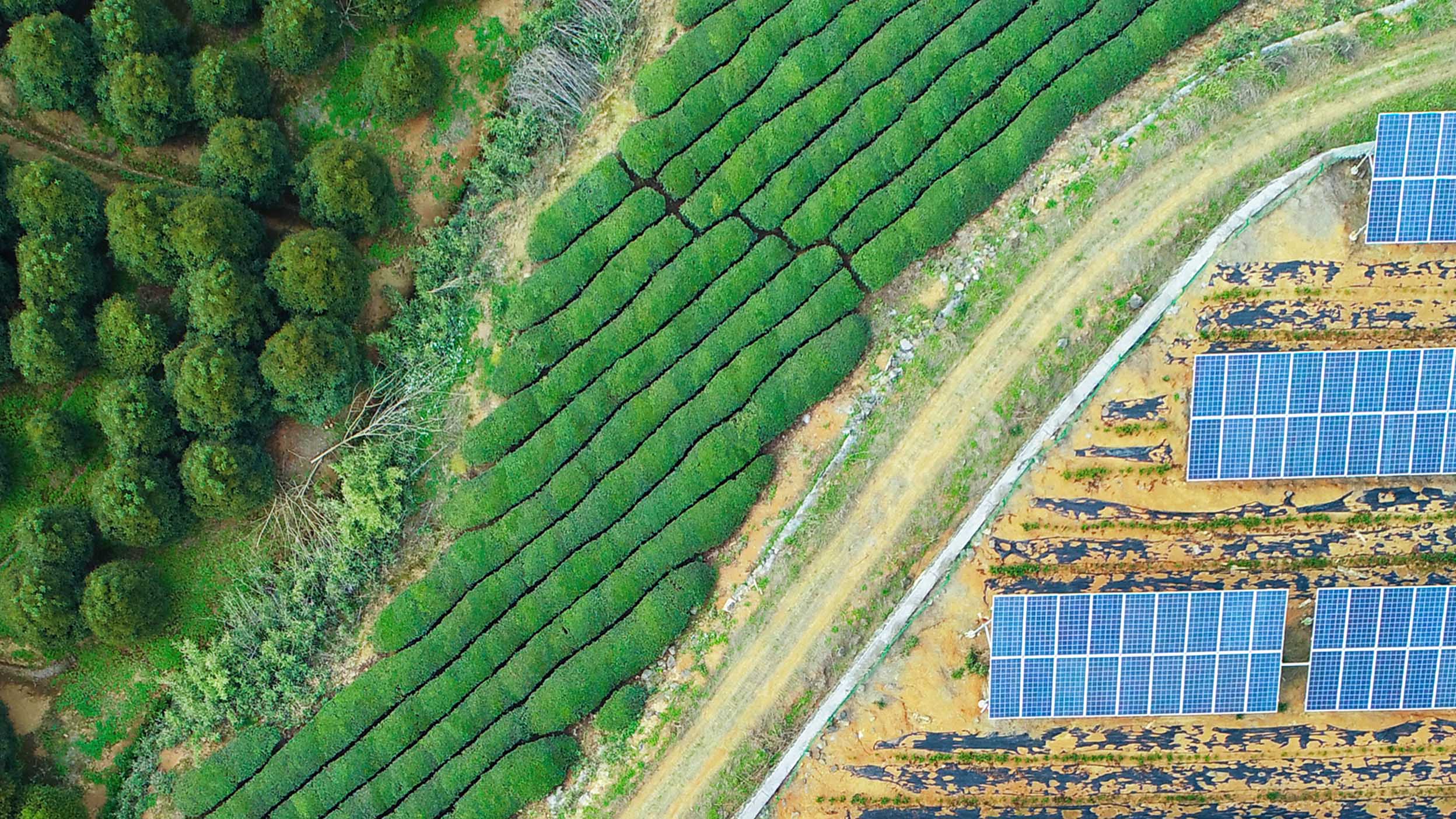 China’s Renewable Energy Market Outlook 