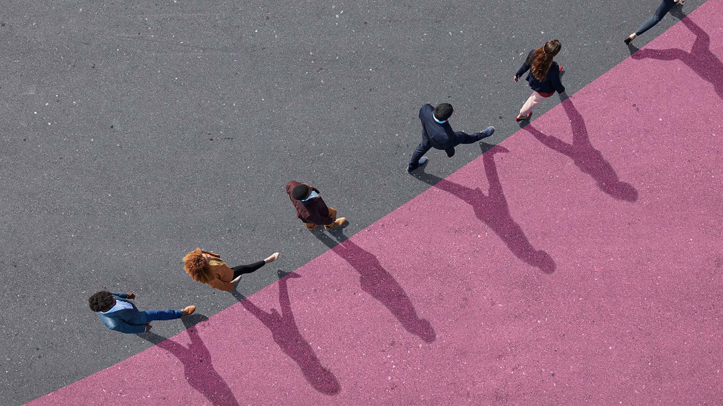 Vision Platform