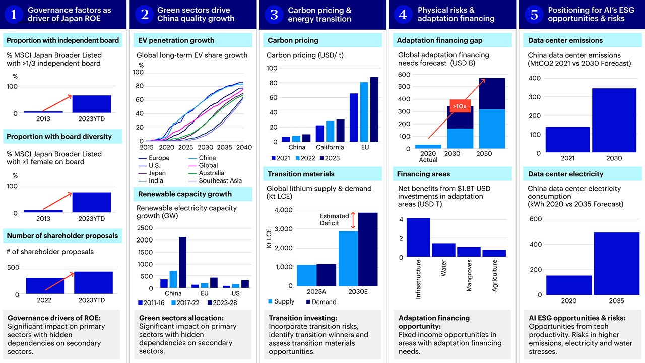 Figure 2 – Breakdown of 5 Asia ESG investment ideas driving alpha in 2024  