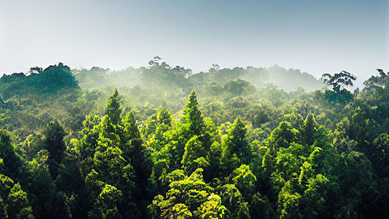 A Systematic Path to Net Zero:  Climate Alignment through a Factor Lens