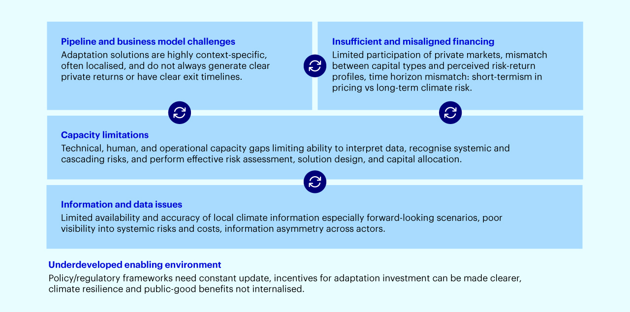 Figure 2 – Key structural barriers to investment in CA&R solutions 