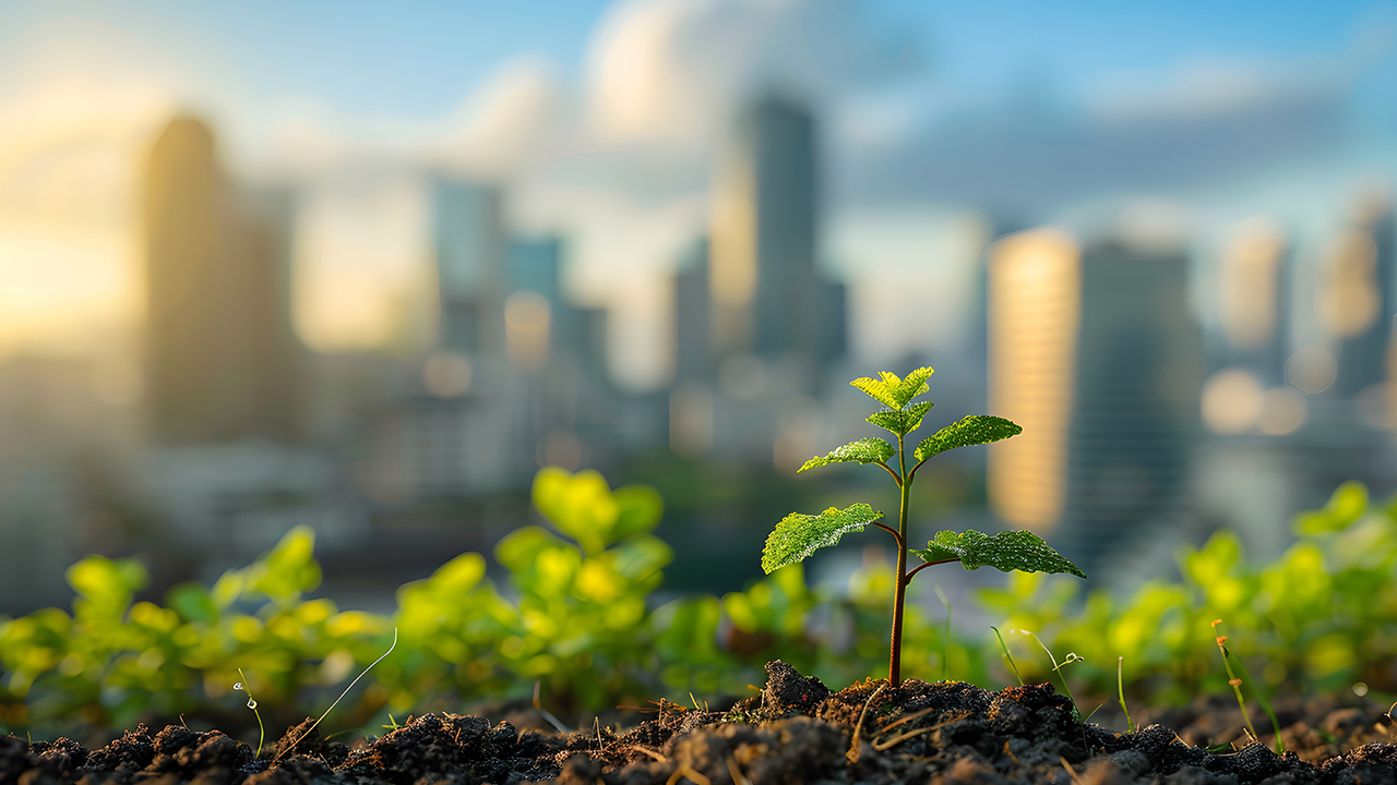 Climate adaptation and resilience in Asia: Risks, opportunities and financing solutions
