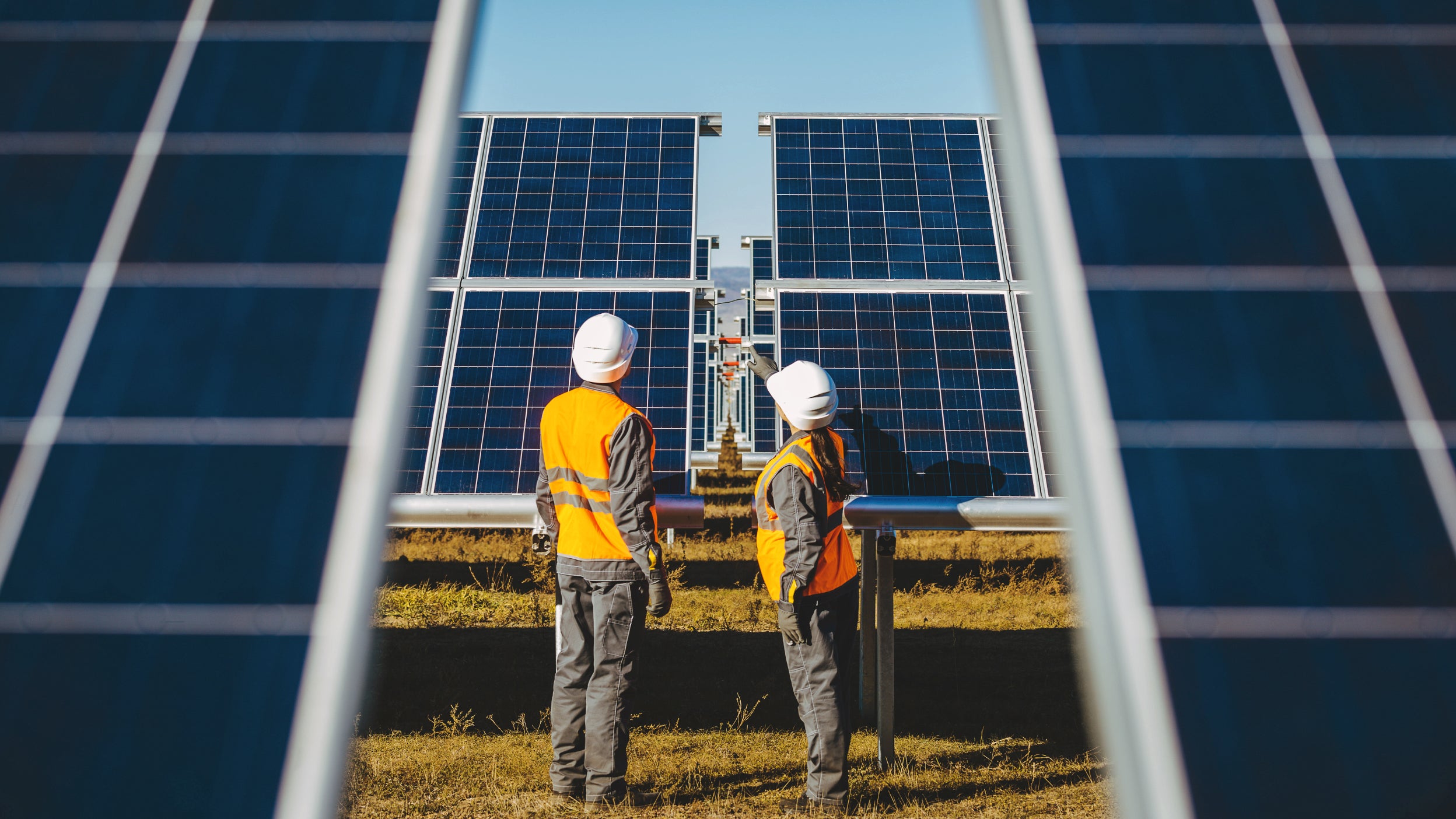 Targeting Net Zero in Asia