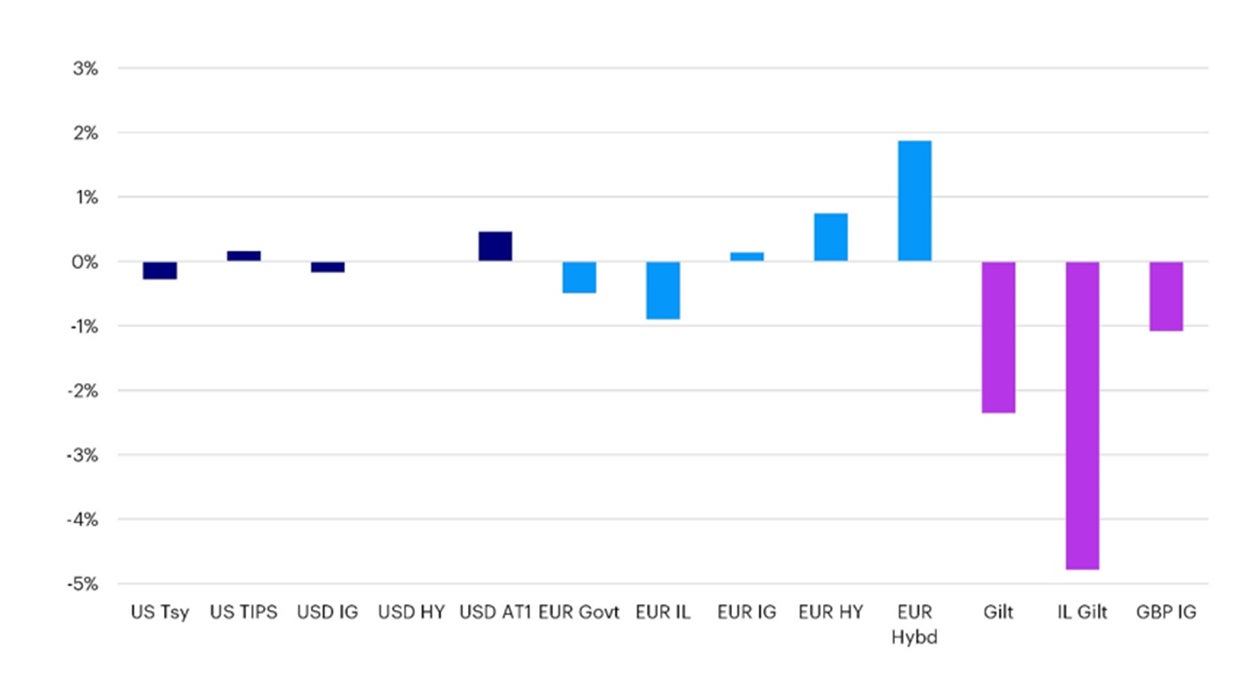 Asset class returns – January 2024