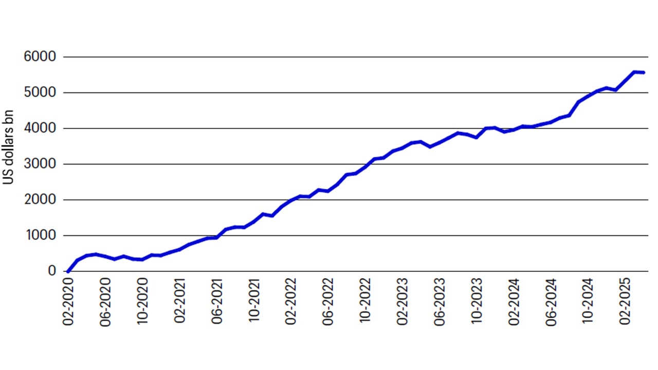 Figure 2: Cumulative US capital inflows since 2020