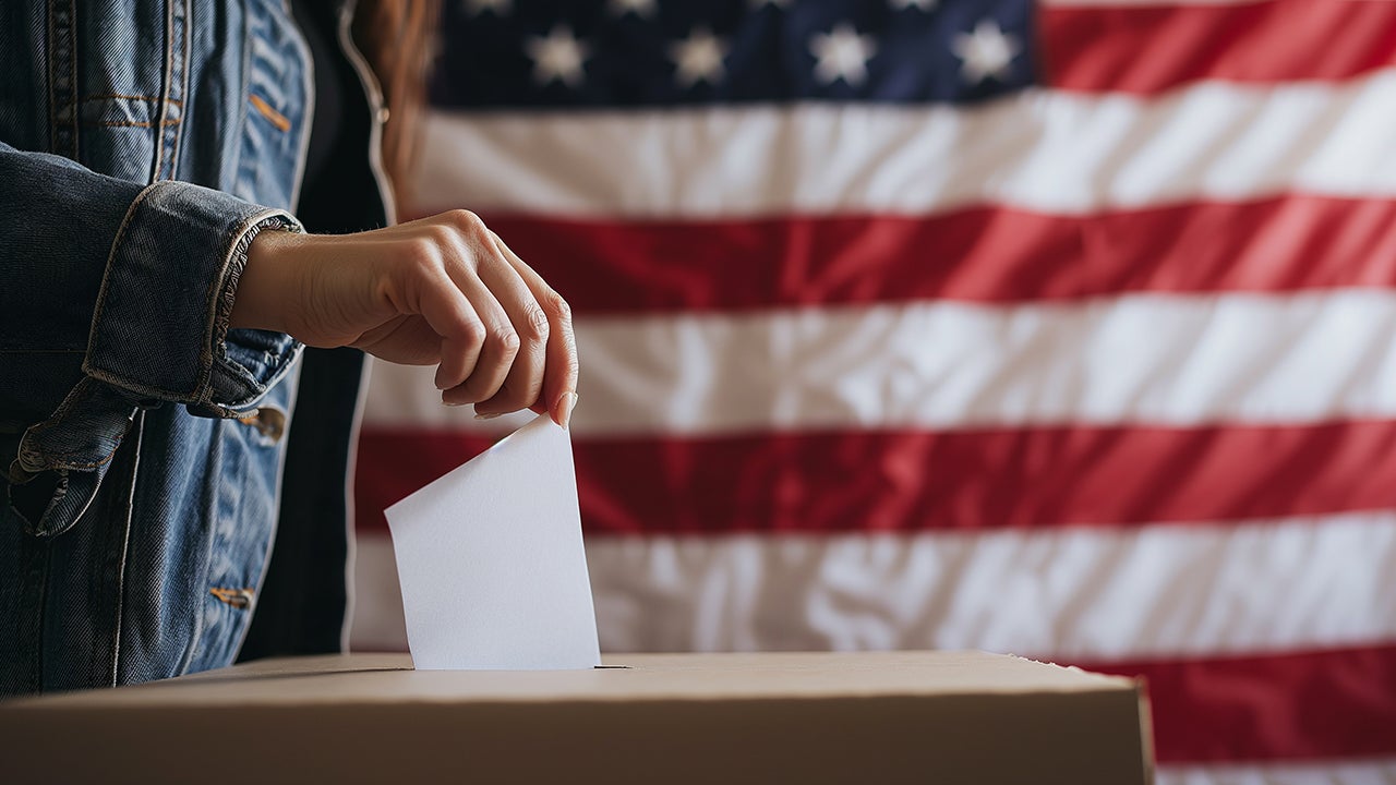 US Presidential Election 2024