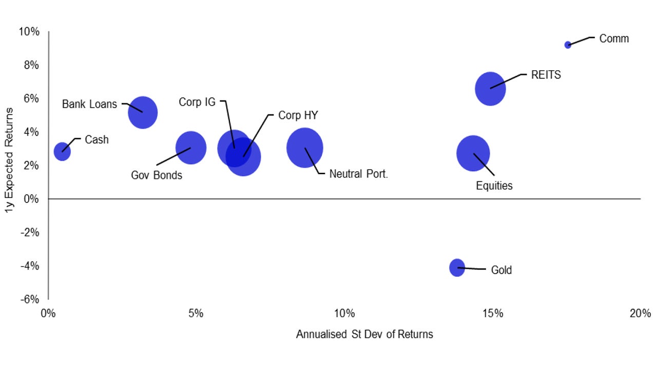 Figure 1: Projected 1-year return versus risk for global assets 