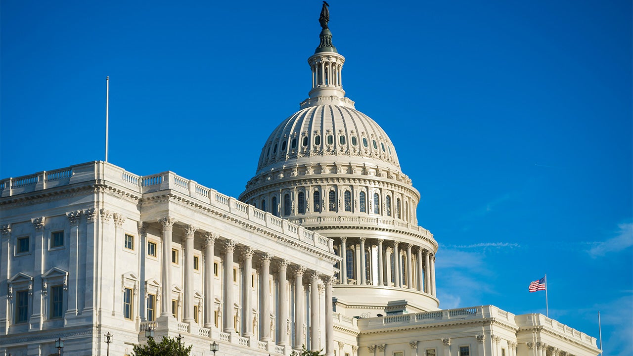 US midterm election preview 