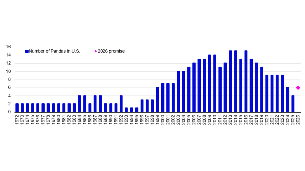 Peak number of pandas in the US per year
