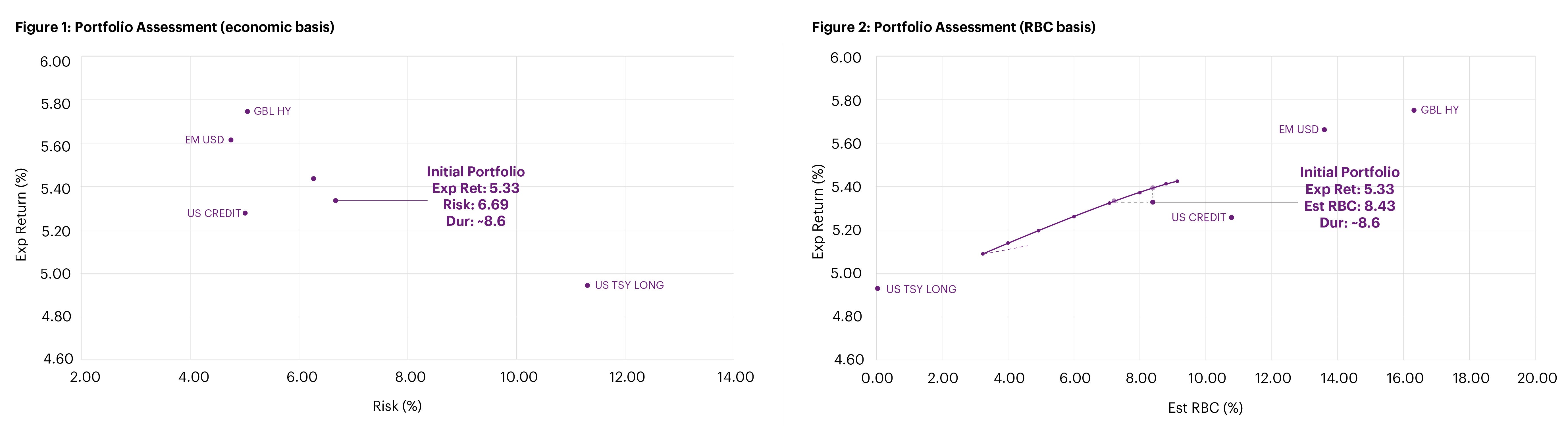 A comparison of the hypothetical portfolio on an economic and RBC basis