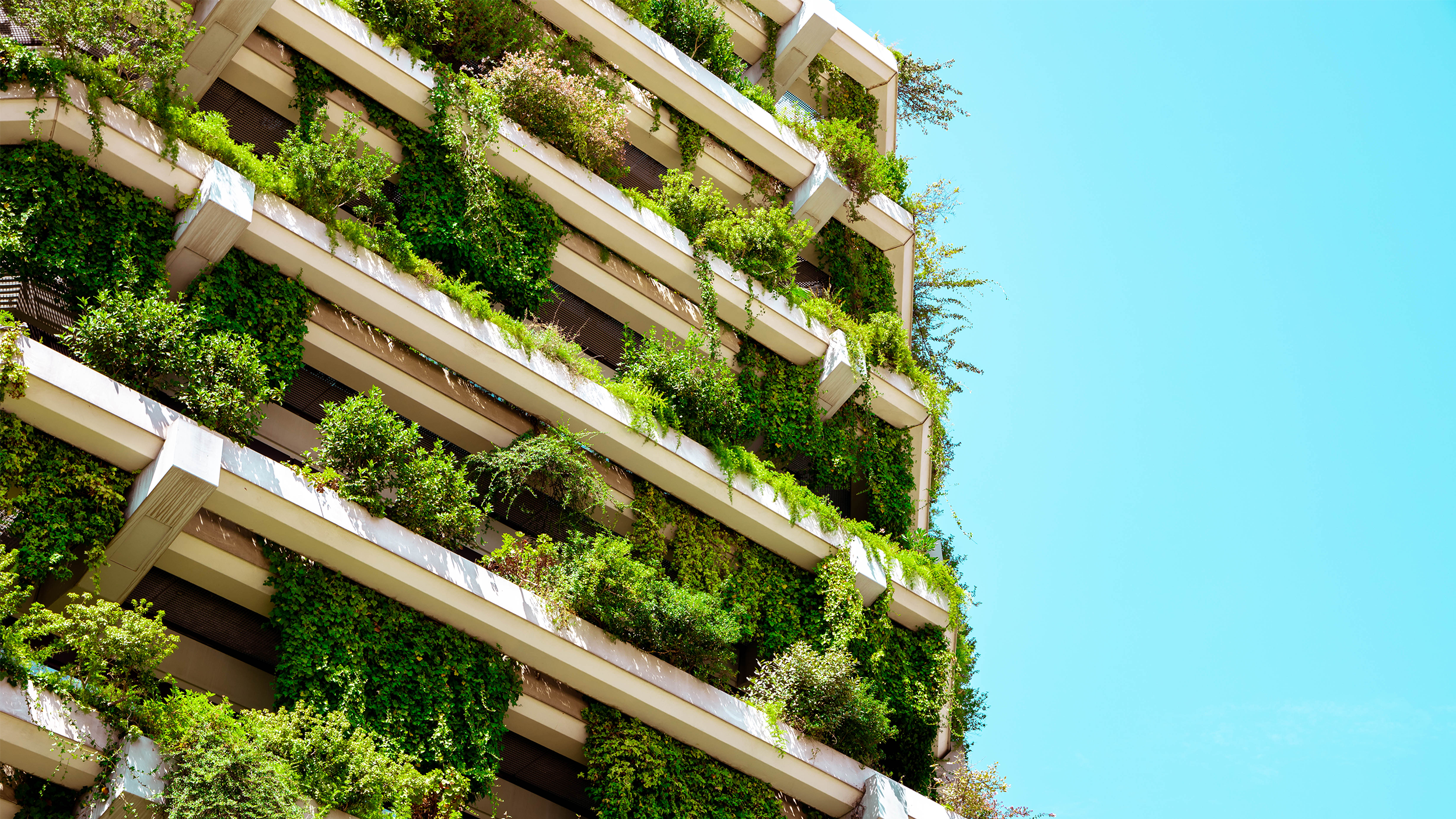 Building Paris Aligned Benchmark equity portfolios