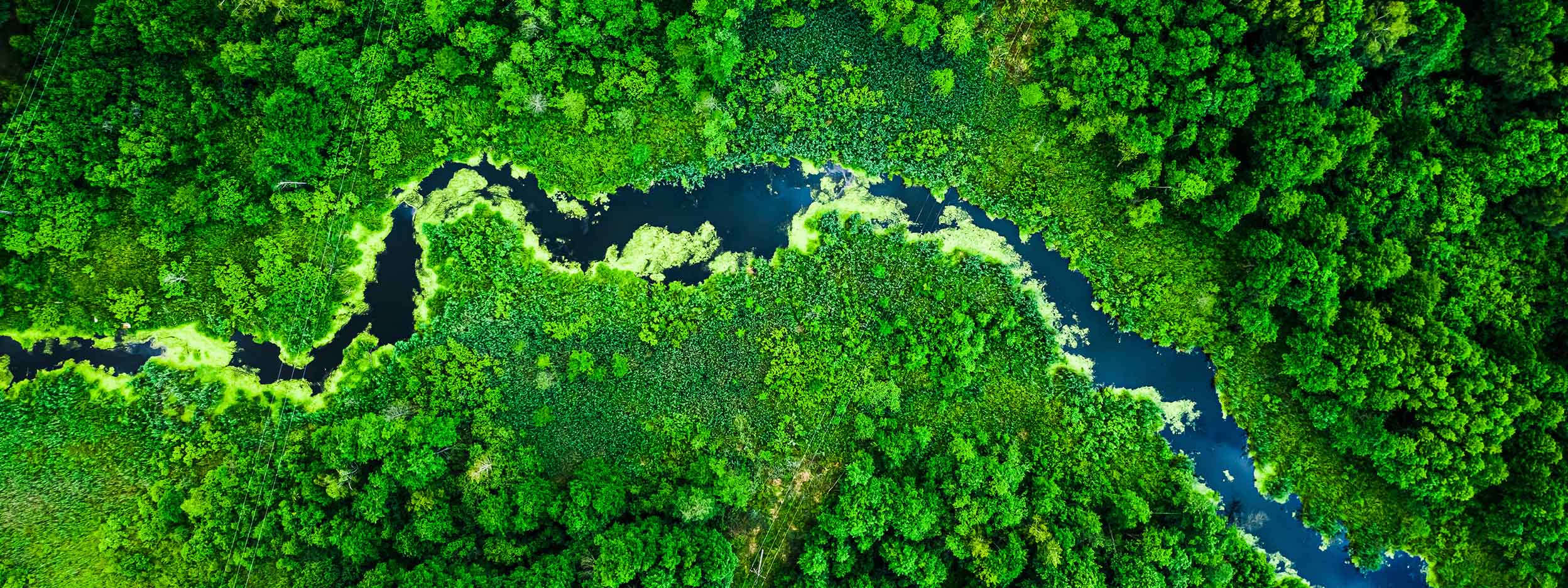 Sustainable Investing
