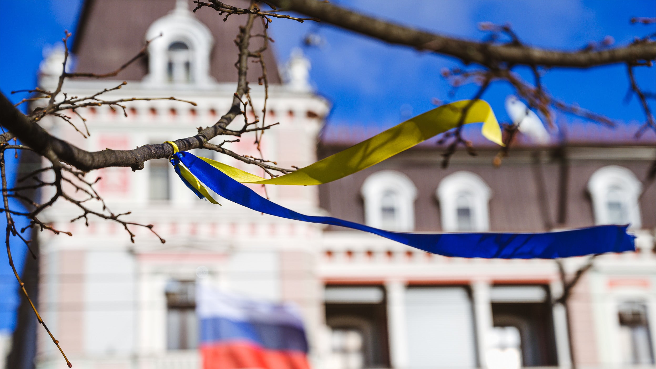  Monthly Market Roundup - March 2022