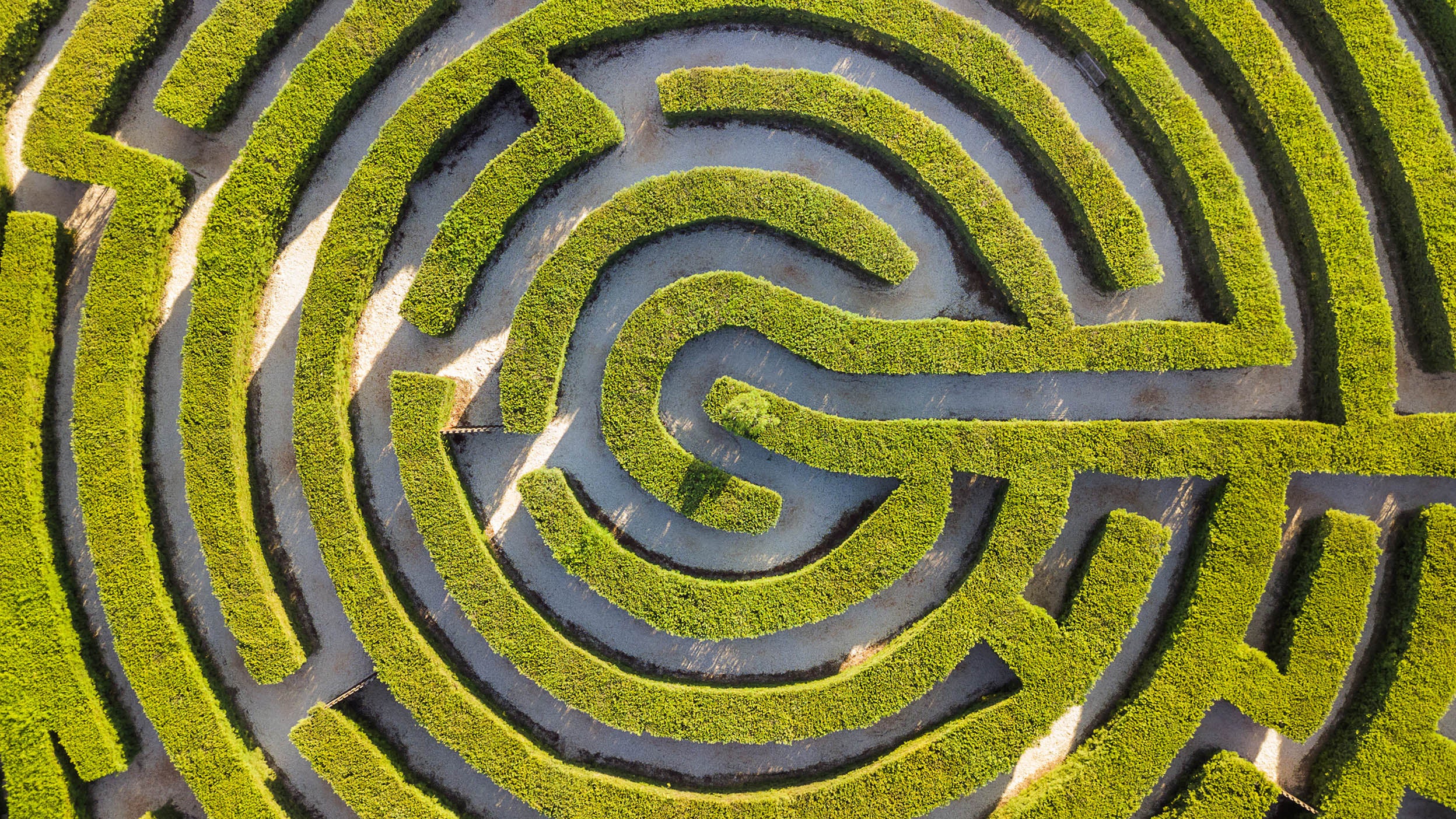 How to use alternatives to differentiate your practice