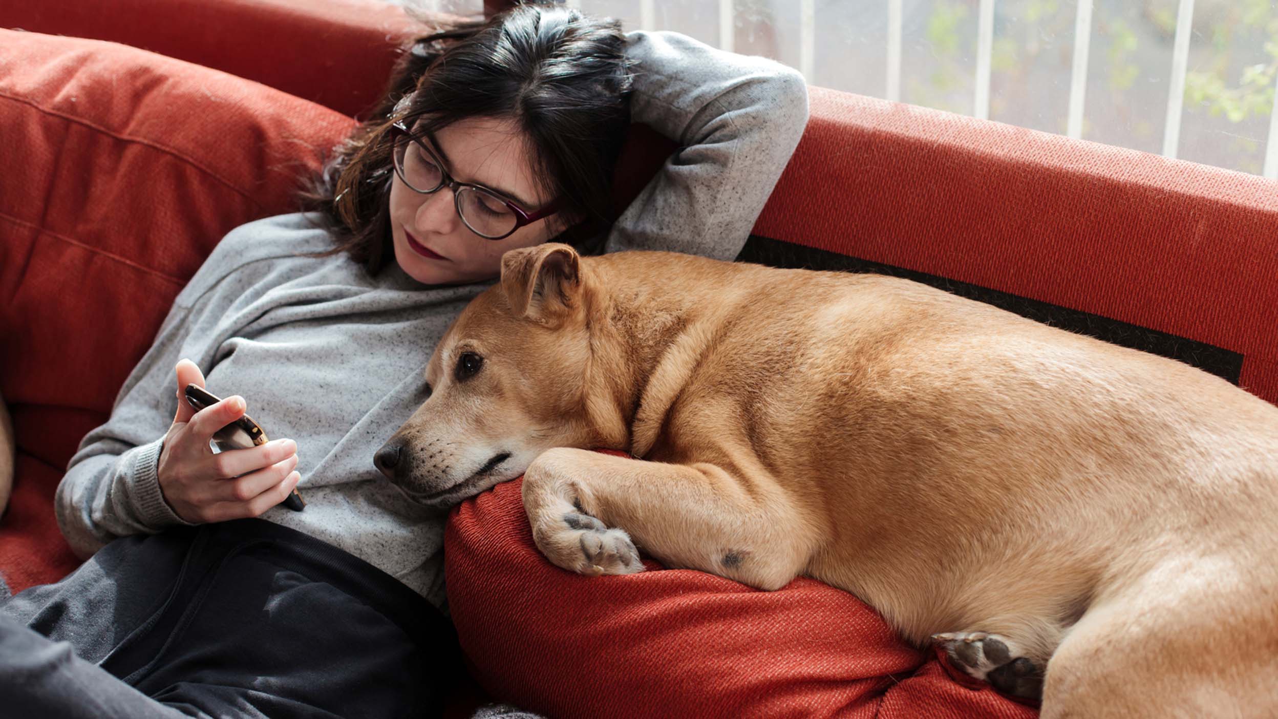 Swipe right: How tech changed the dating game