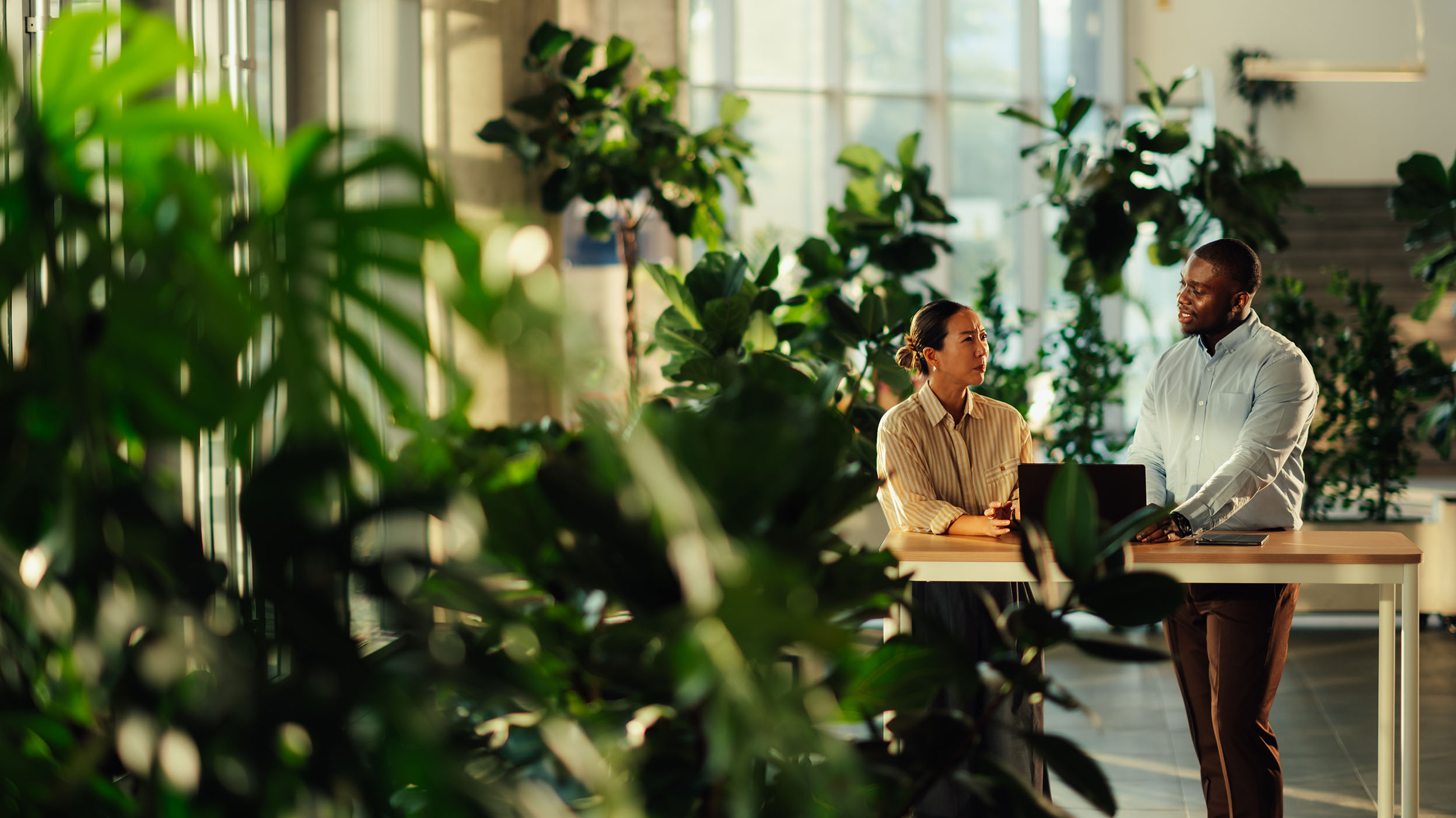 People discussing in the office