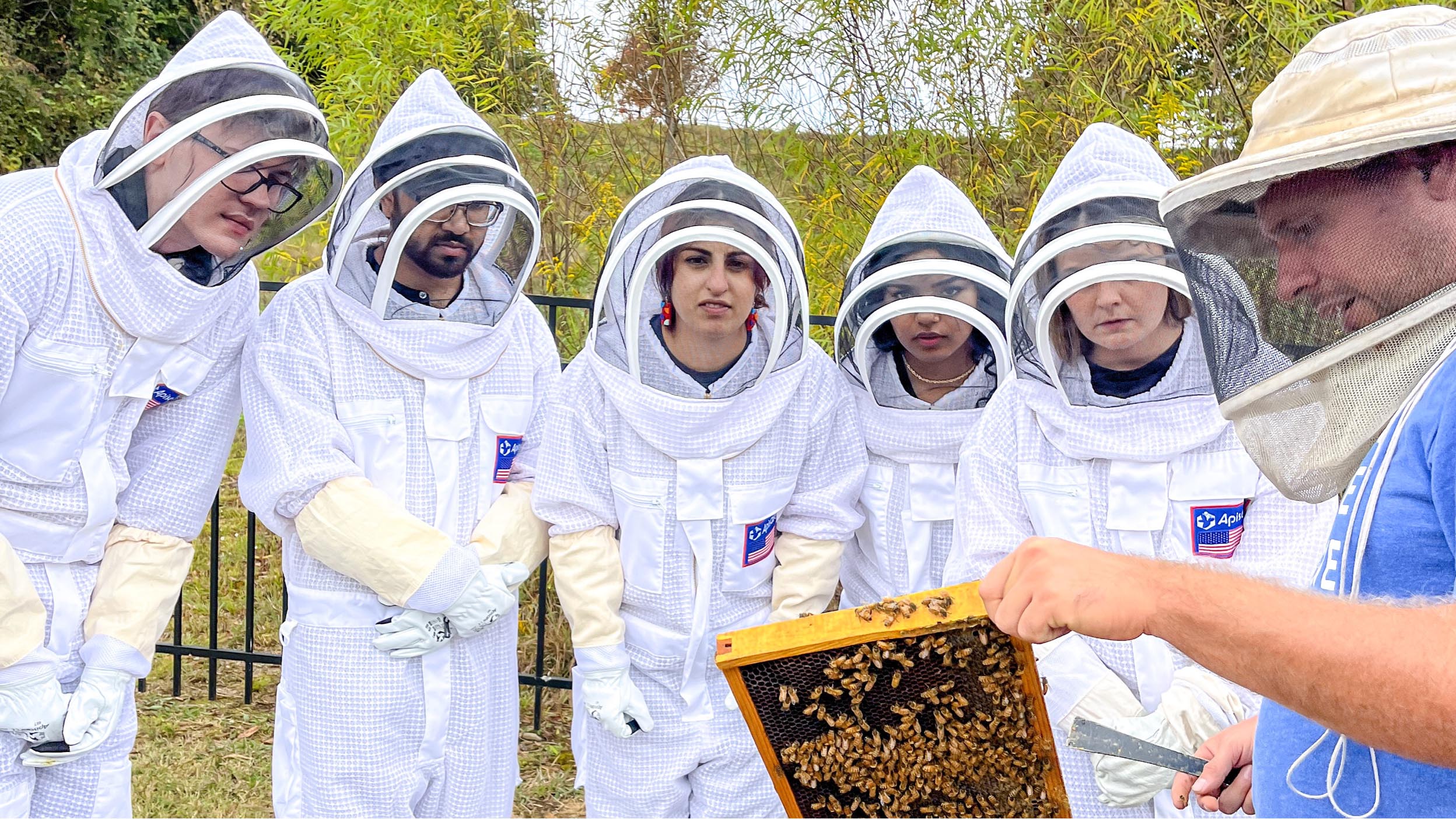 Atlanta employees learn about Bee Downtown beehives sponsored by Invesco