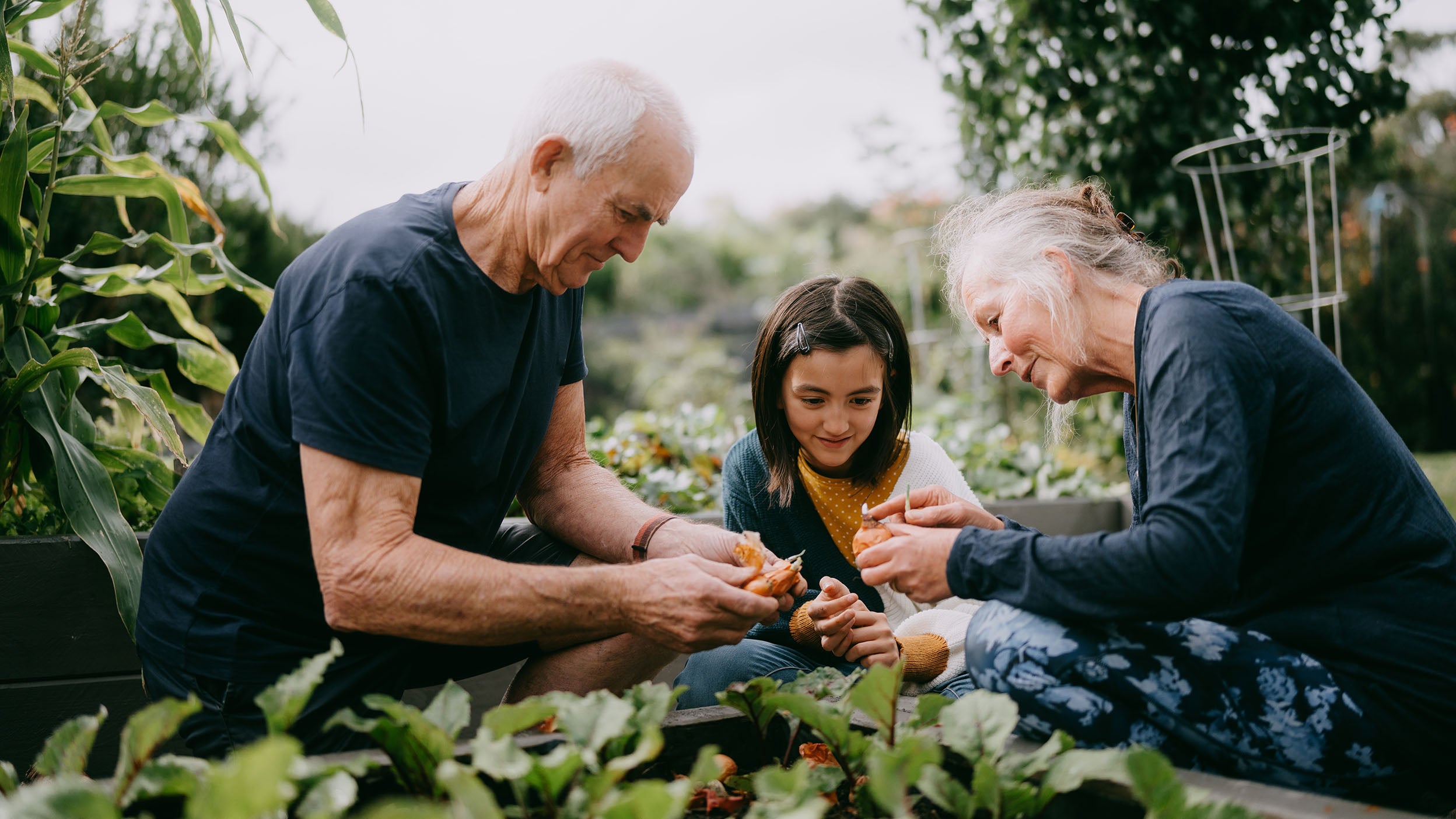 Young girl learning about gardening from her grandparents, Mornington Peninsula, Victoria, Australia