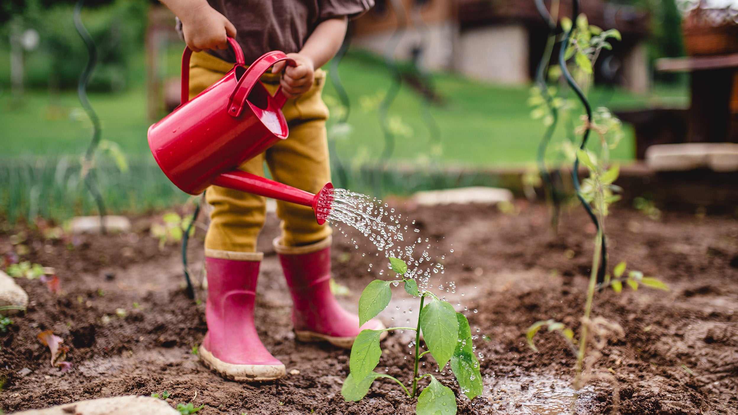 Spring into college savings: A fresh start for your child’s future