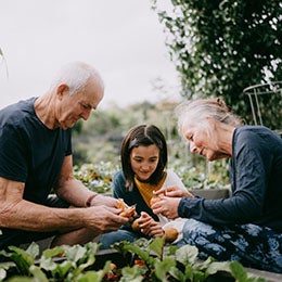 Young%20girl%20learning%20about%20gardening%20from%20her%20grandparents,%20Mornington%20Peninsula,%20Victoria,%20Australia