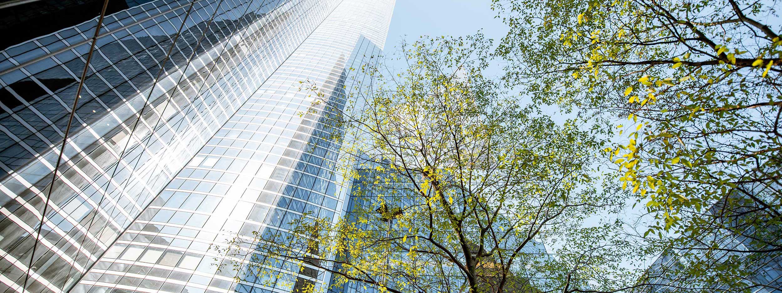 Modern glass skyscraper in Paris with tree in foreground