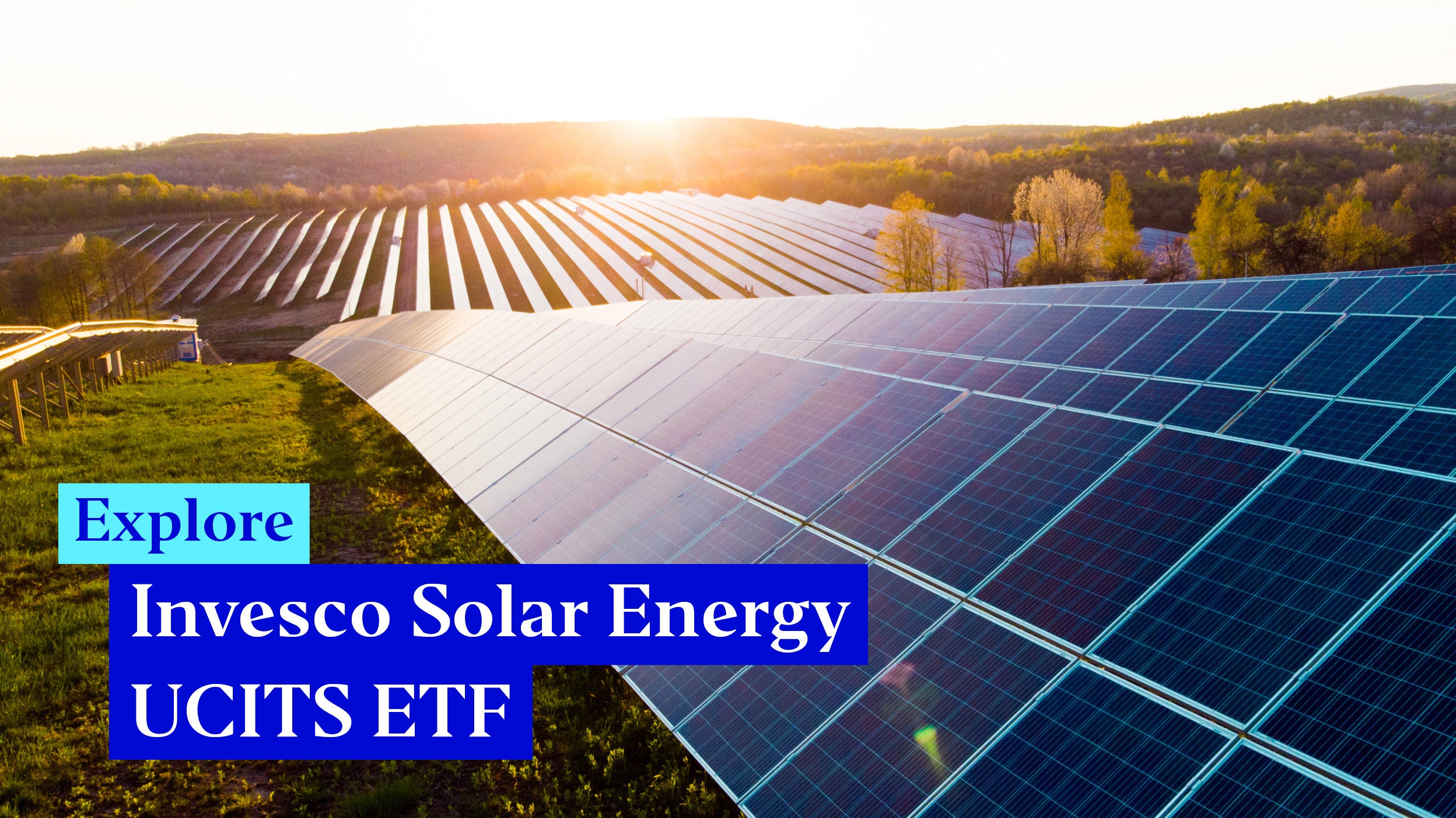 ESG ETFs Explore our Sustainable ETFs Invesco Invesco Italy