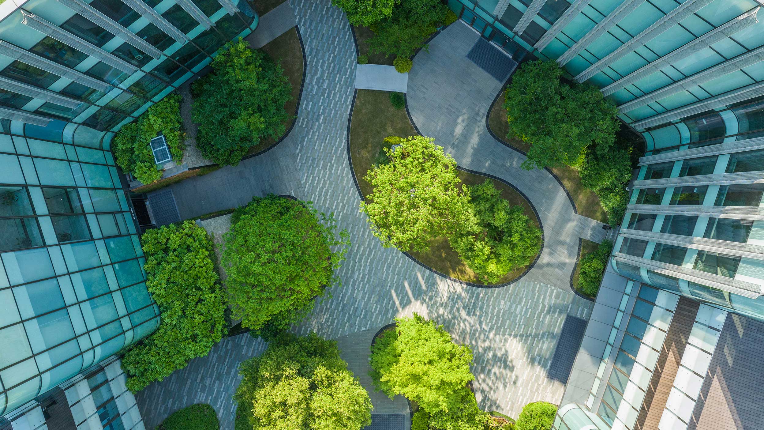 Overhead view of modern buildings and tree‑lined courtyard paths
