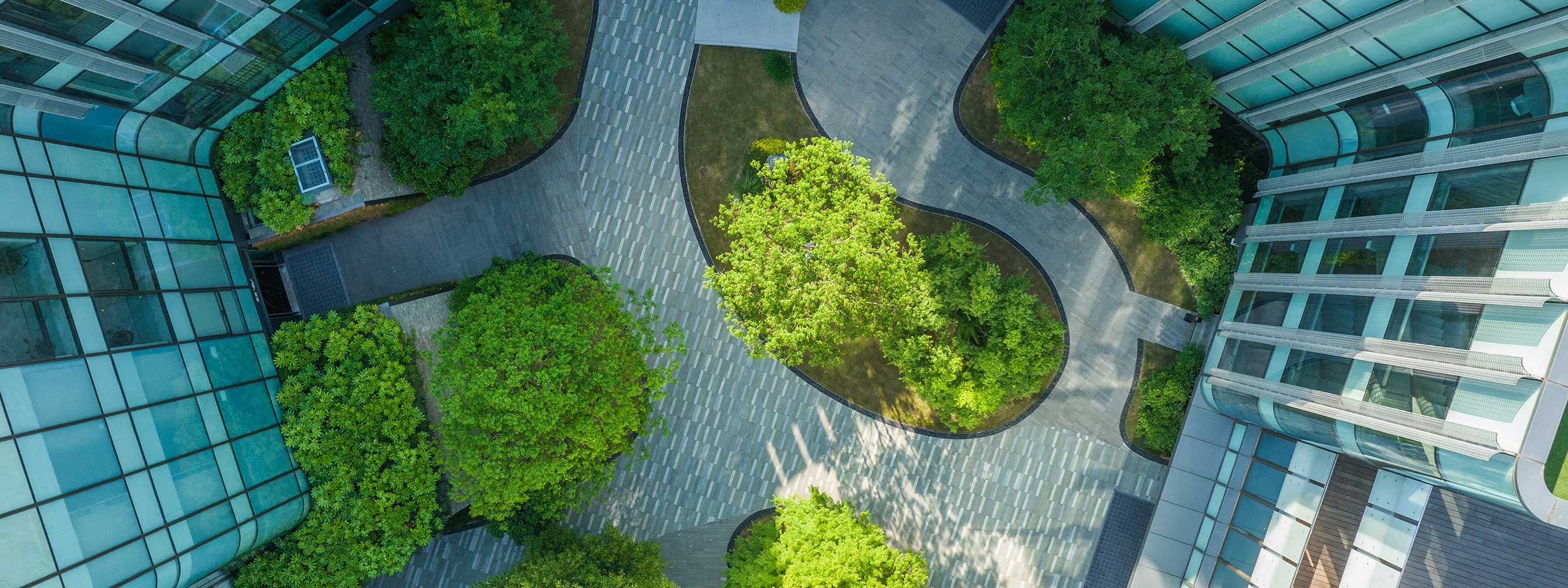 Overhead view of modern buildings and tree‑lined courtyard paths