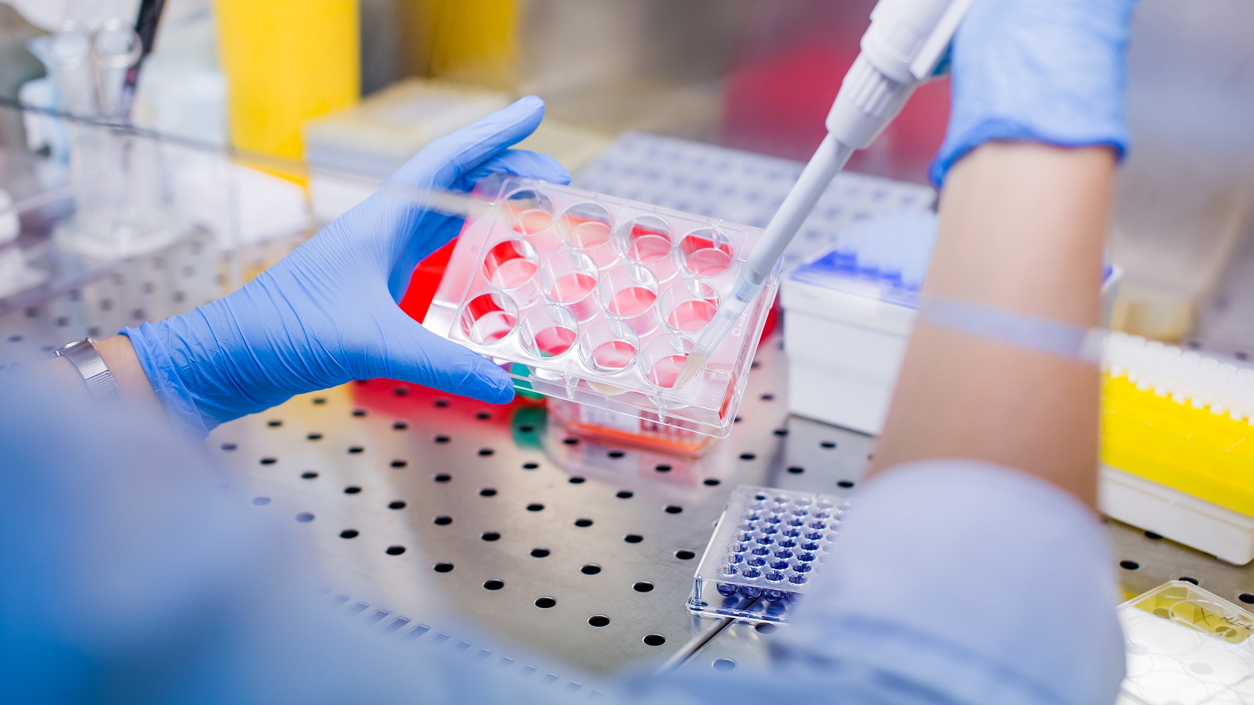 Our strategy: targeting the unique opportunities in China’s healthcare sector