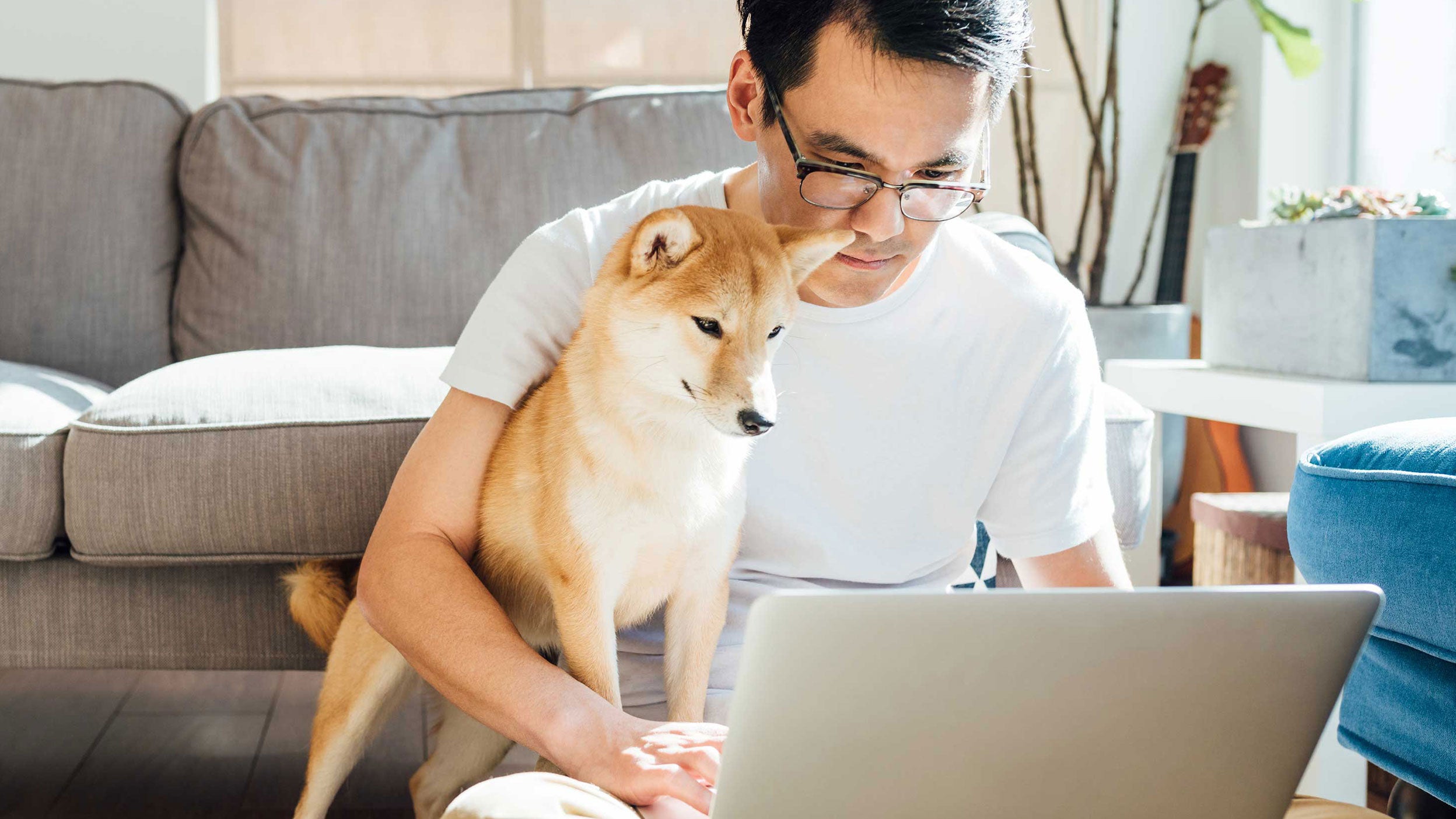 Consumer trends: Grocery shoppers show increased appetite for e-commerce