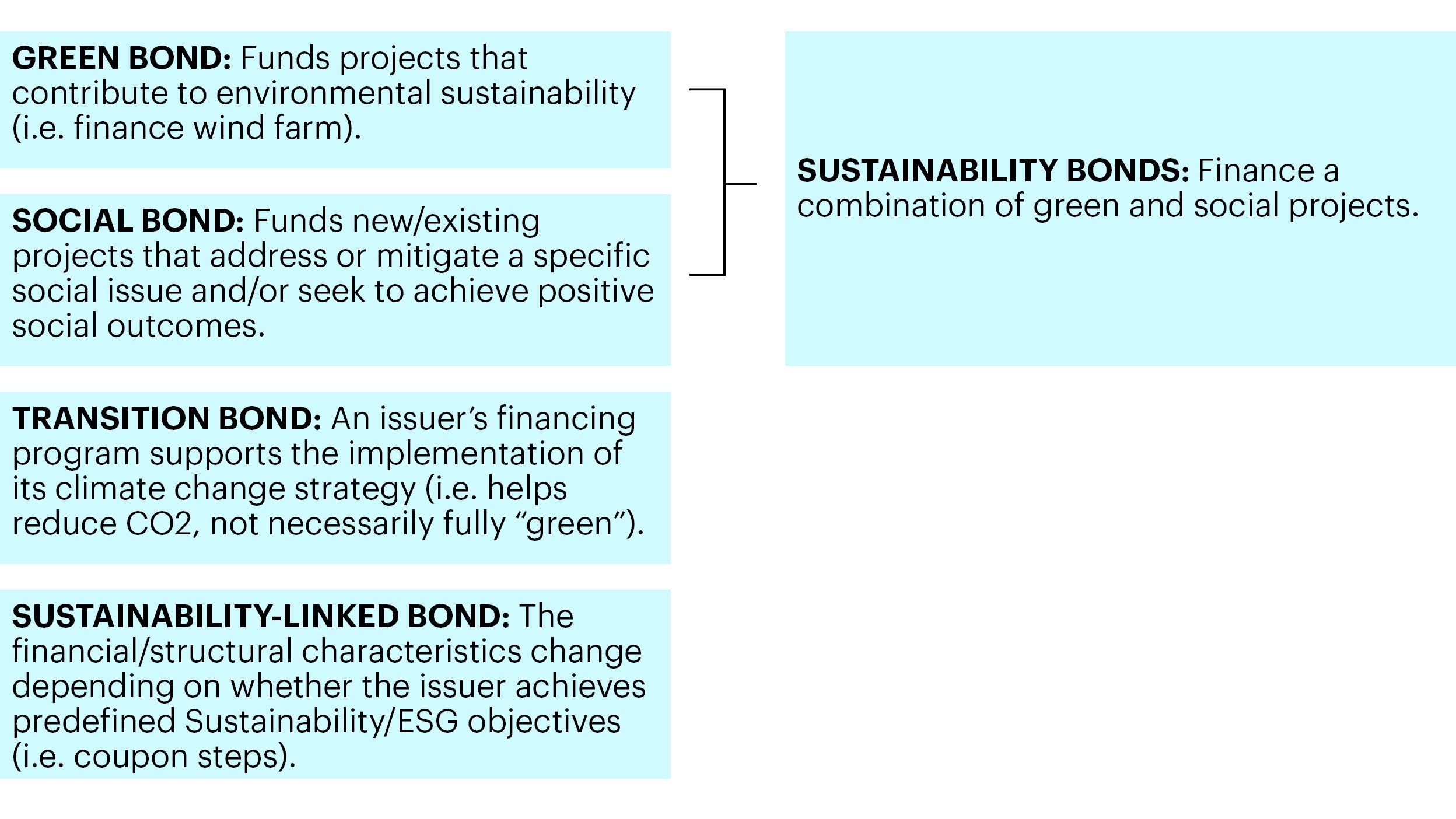 sustainability linked bonds the new new thing in esg fixed income