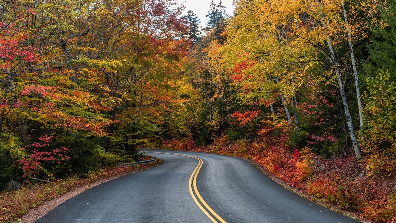 Stay prepared for a volatile autumn