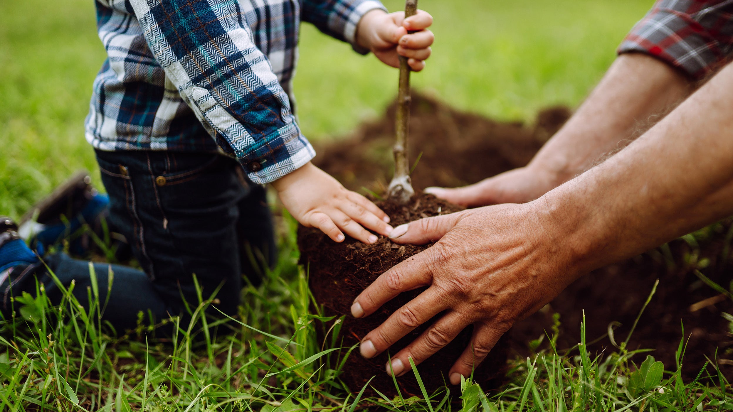 How to approach principal adverse impacts, sustainable investments and the EU Taxonomy