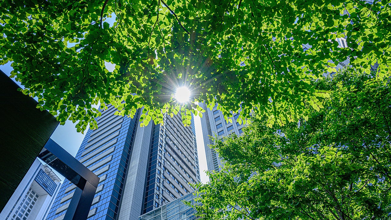 Invesco and ESG