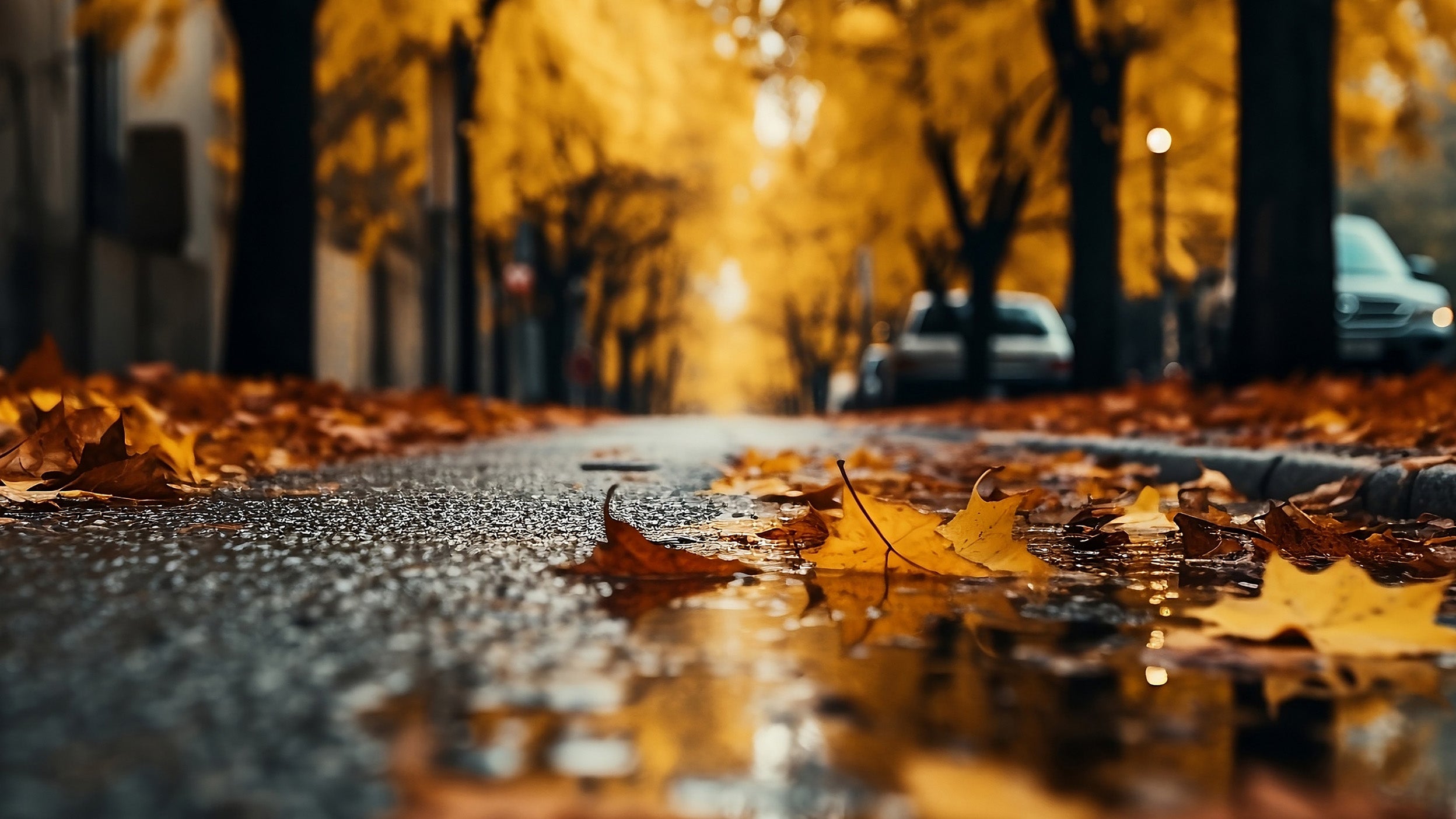 Monthly Market Roundup September