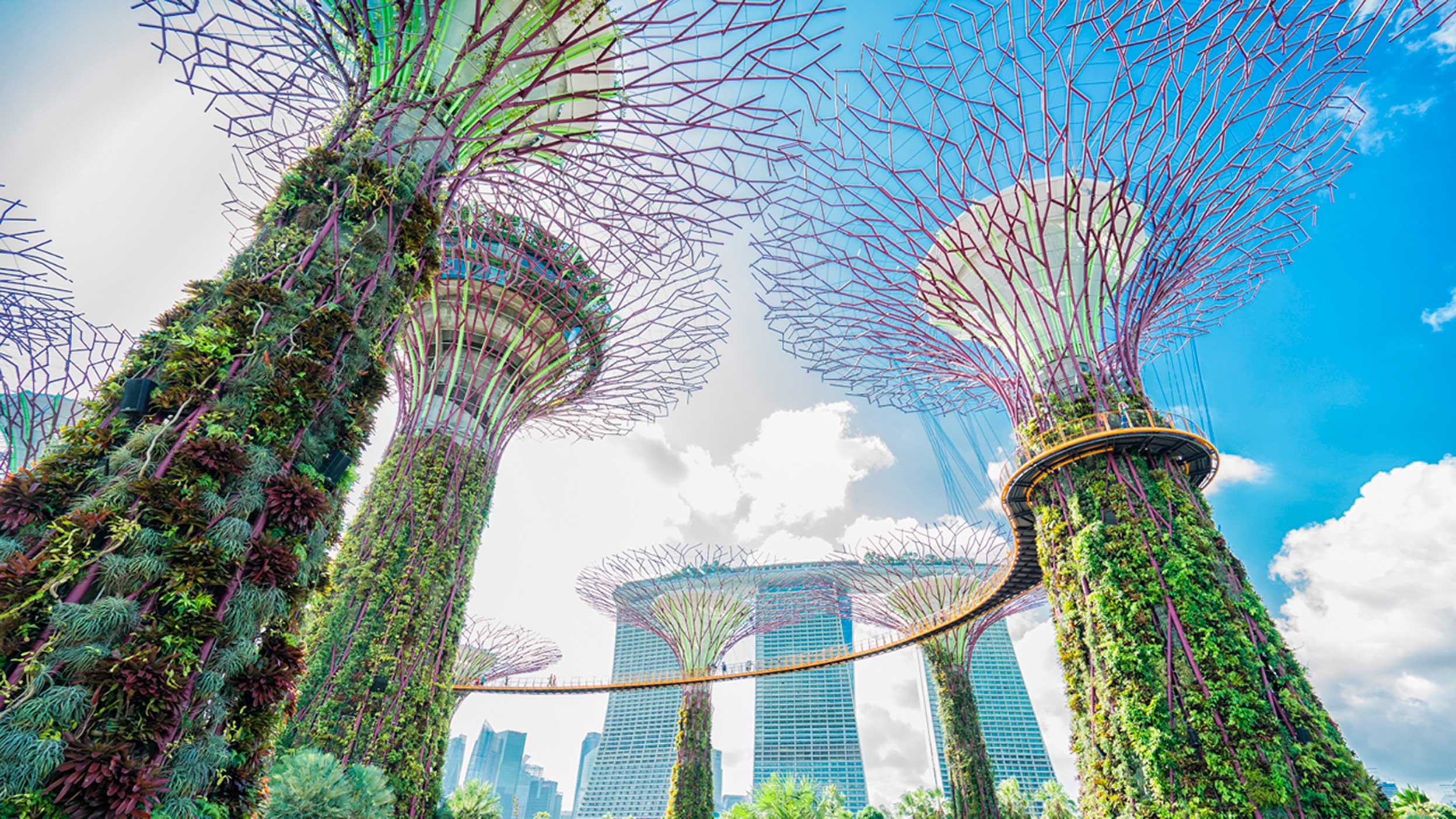 Global Buy and Maintain: Moving towards a lower-carbon future