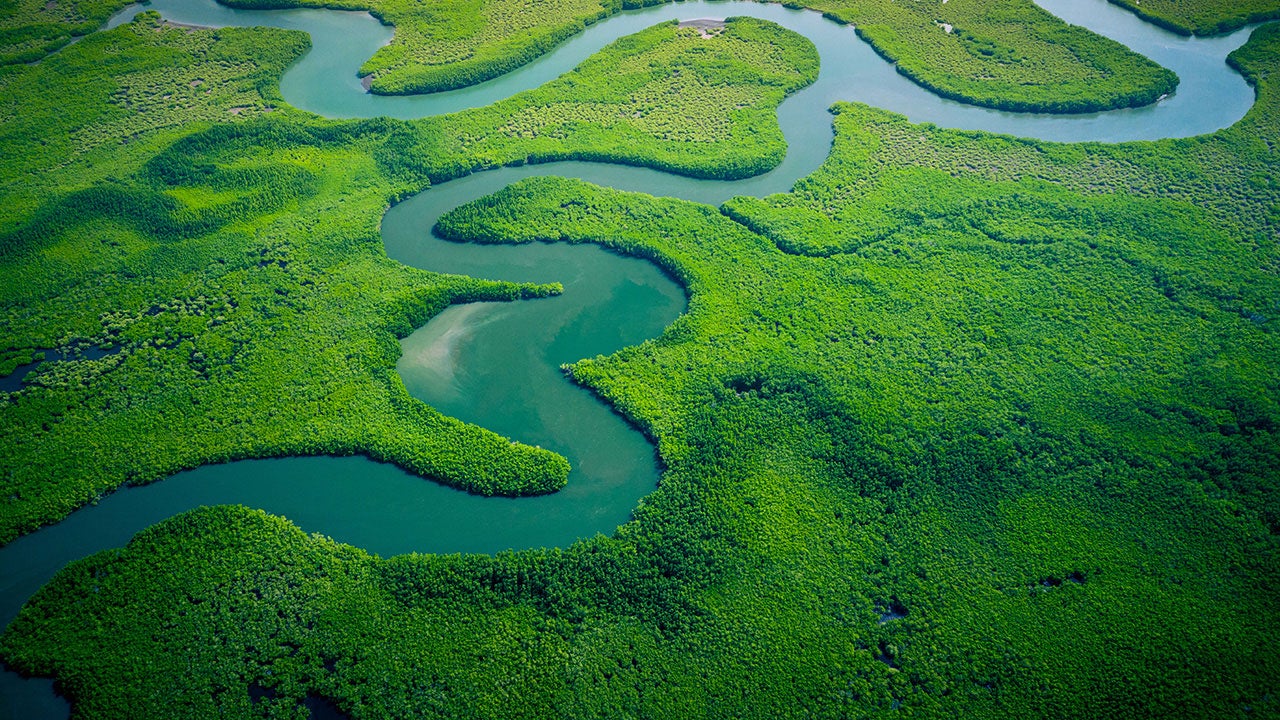 Multi-factor strategies and ESG – perfect partners