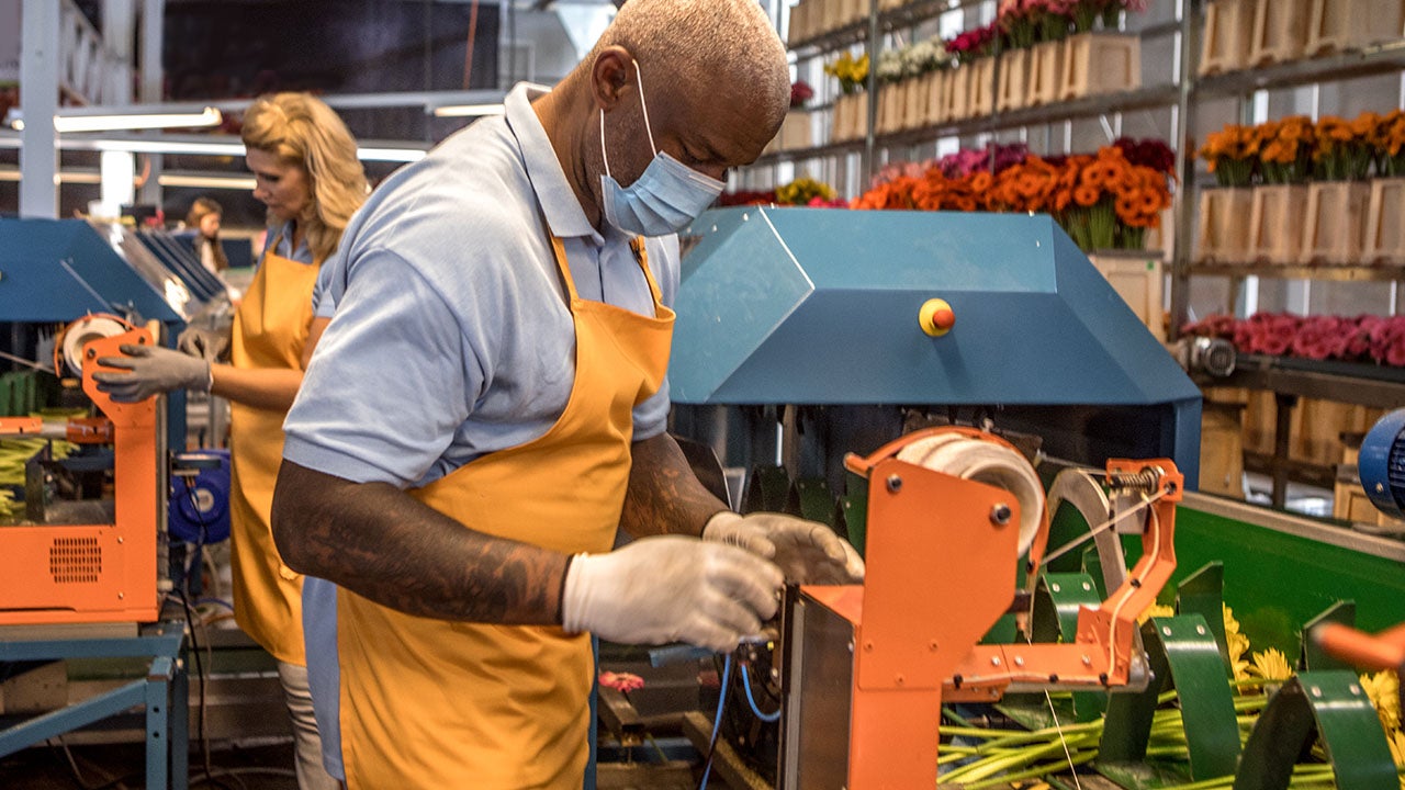 Economic recovery – three scenarios